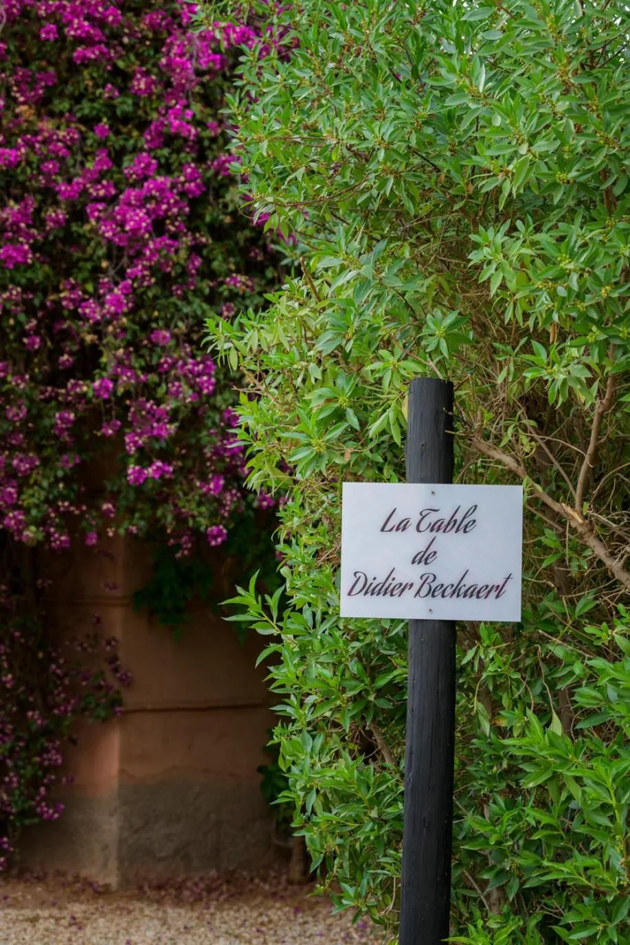 Restaurant/places to eat in Villa Al Assala Palmeraie