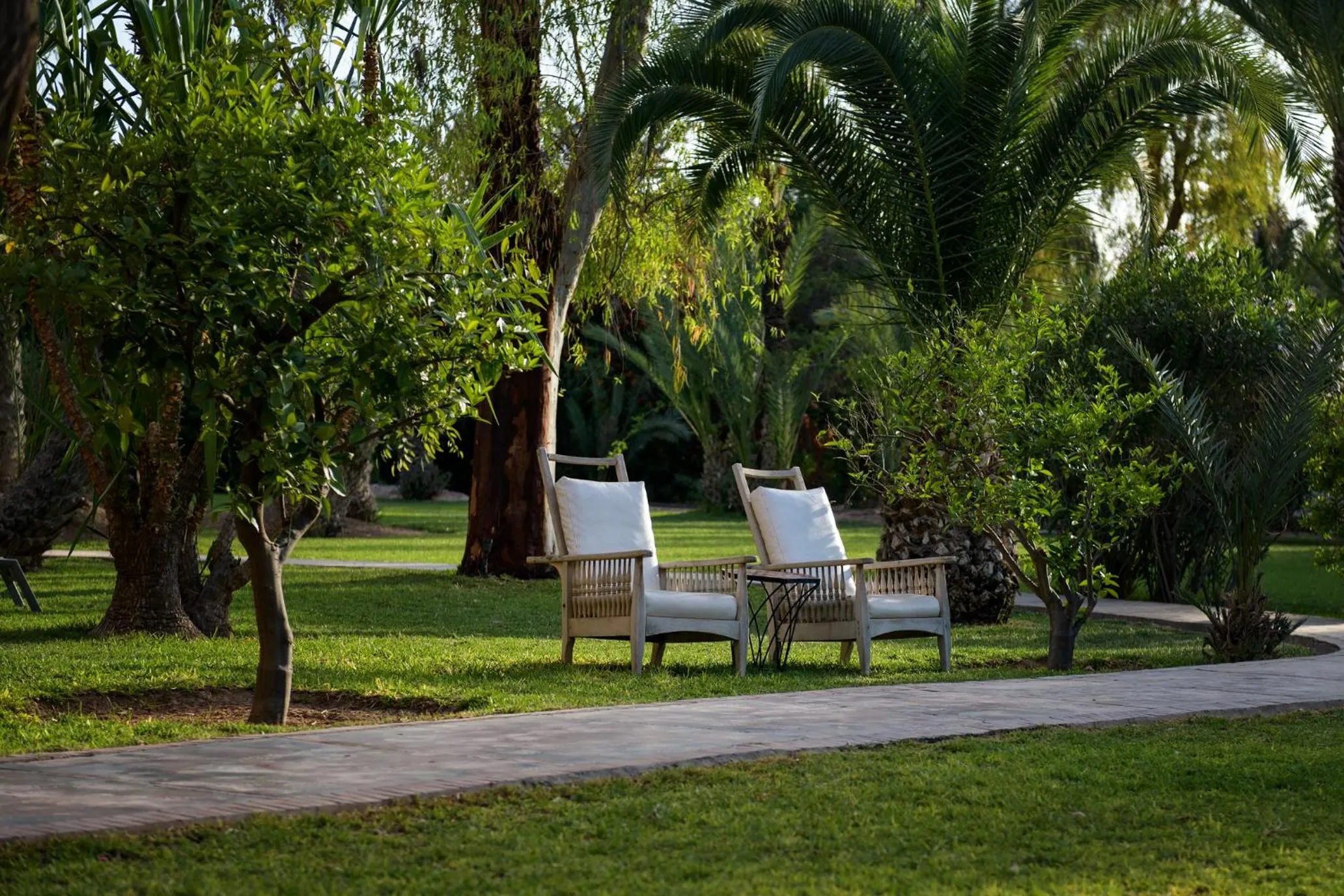 Day in Villa Al Assala Palmeraie