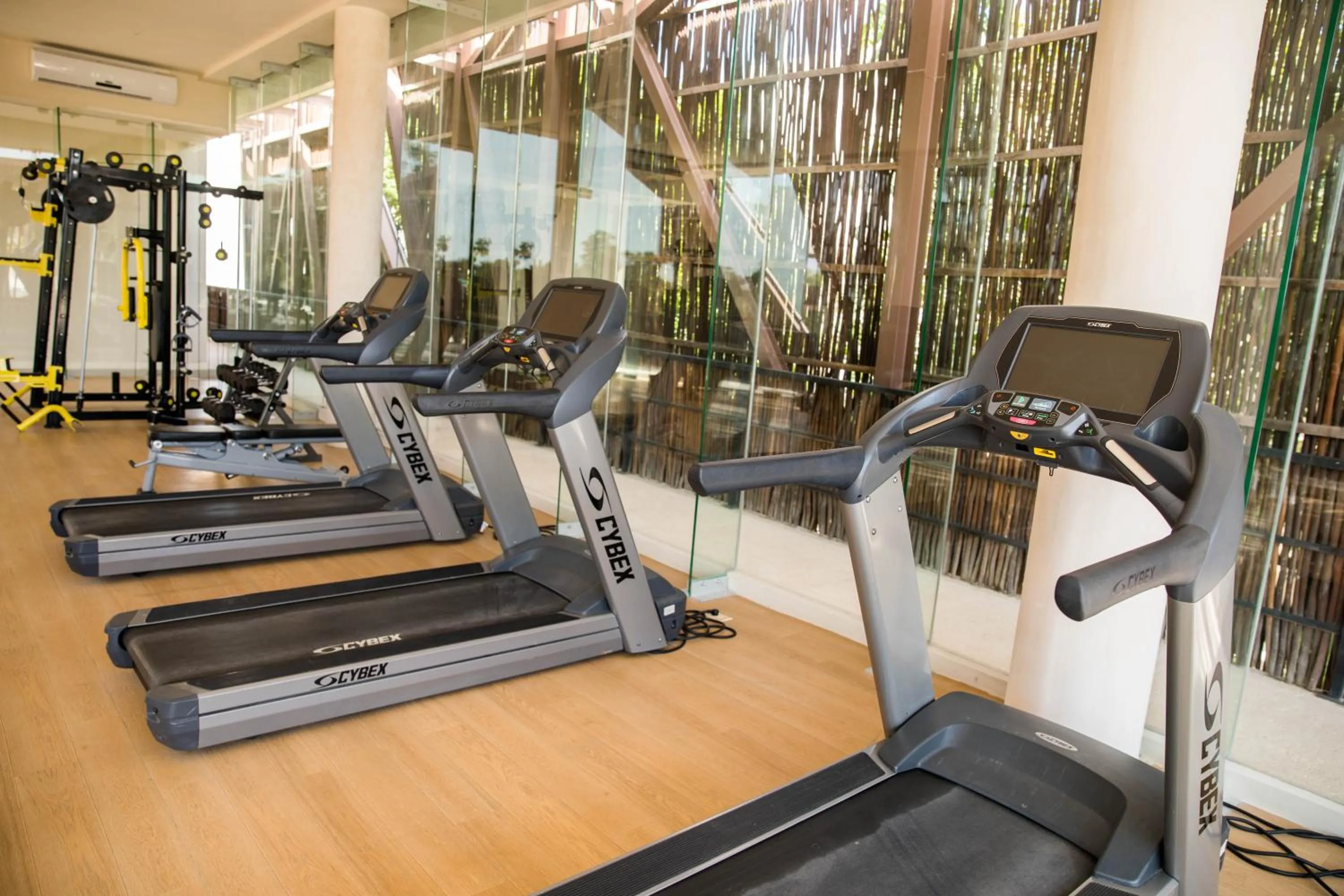 Fitness centre/facilities in Ophelia Experience
