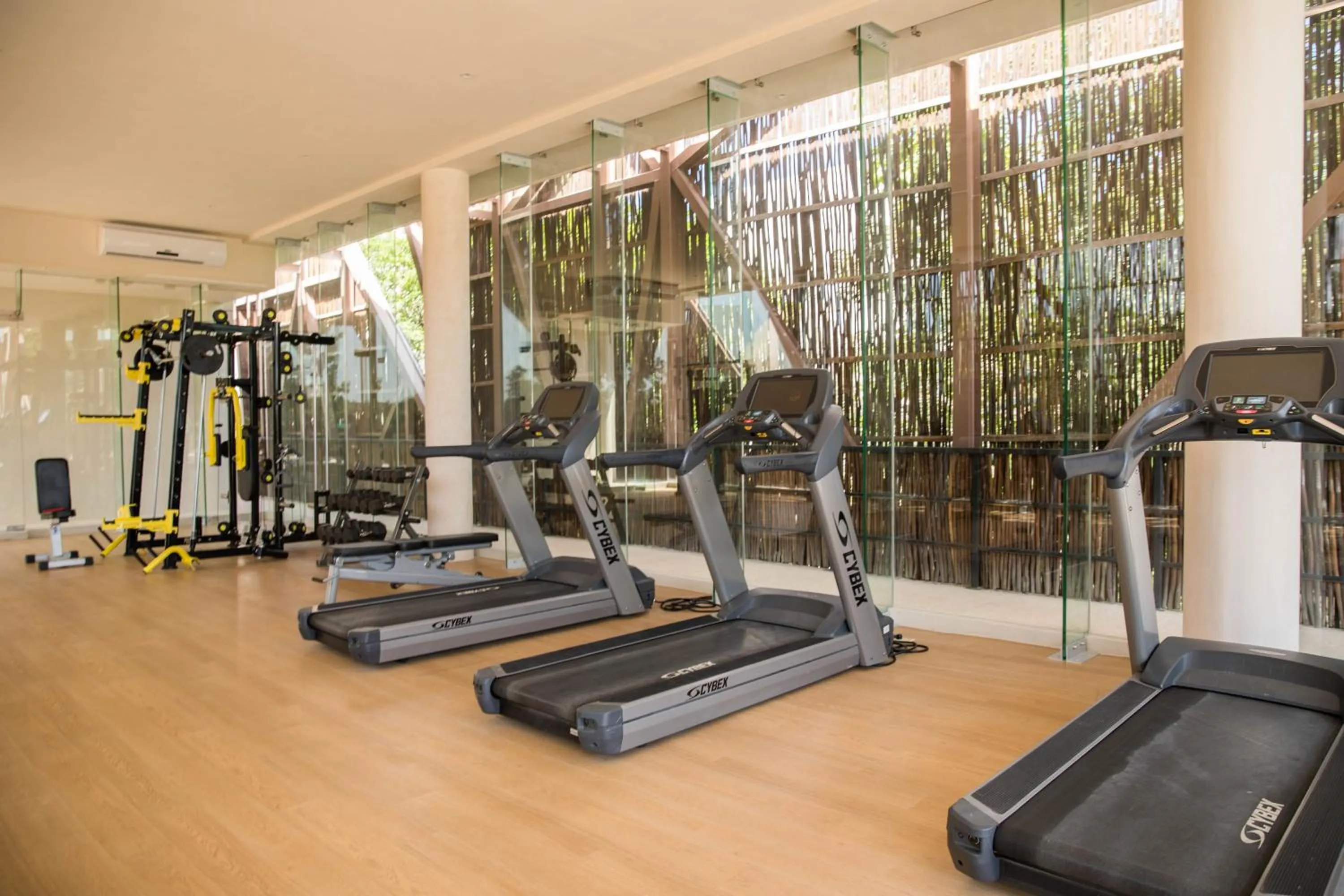 Fitness centre/facilities in Ophelia Experience