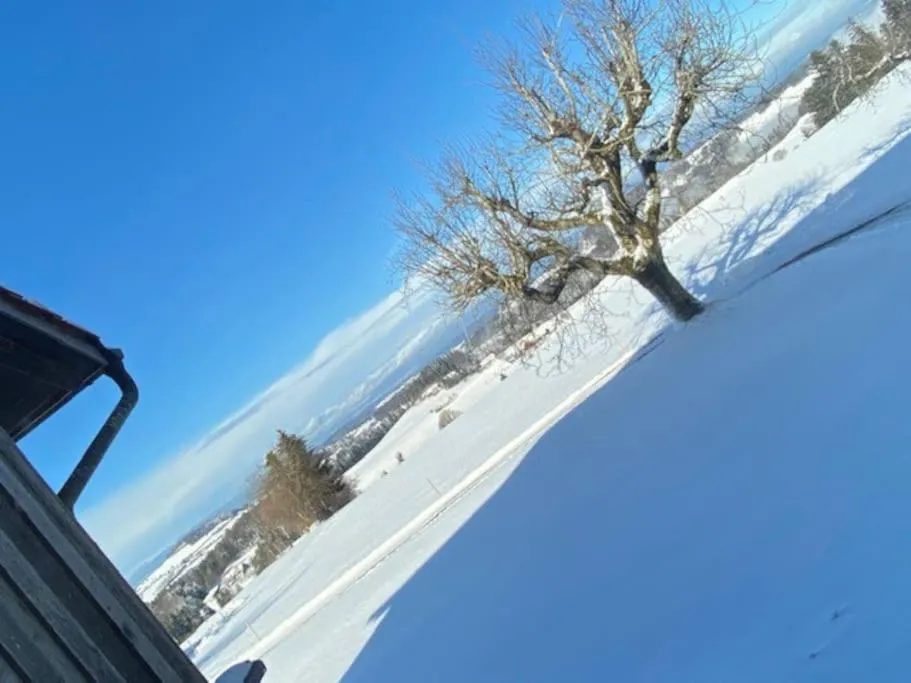 Wohnen mit Blick auf Eiger - ehemaliges Bauernhaus - 2 Schlafzimmer