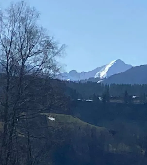 Wohnen mit Blick auf Eiger - ehemaliges Bauernhaus - 2 Schlafzimmer