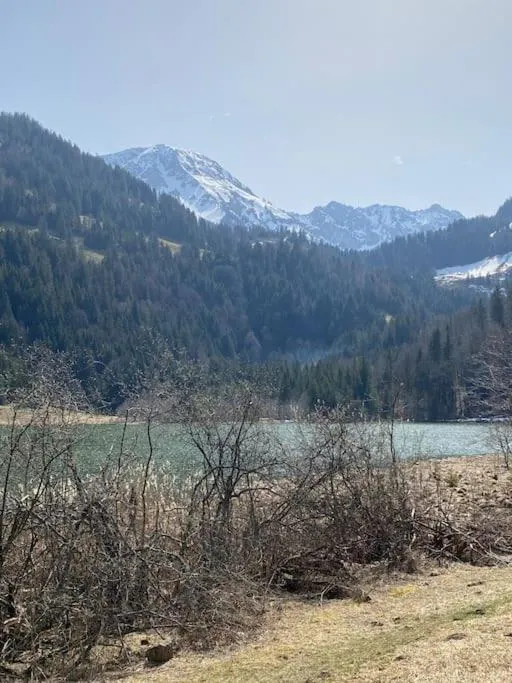 Wohnen mit Blick auf Eiger - ehemaliges Bauernhaus - 2 Schlafzimmer