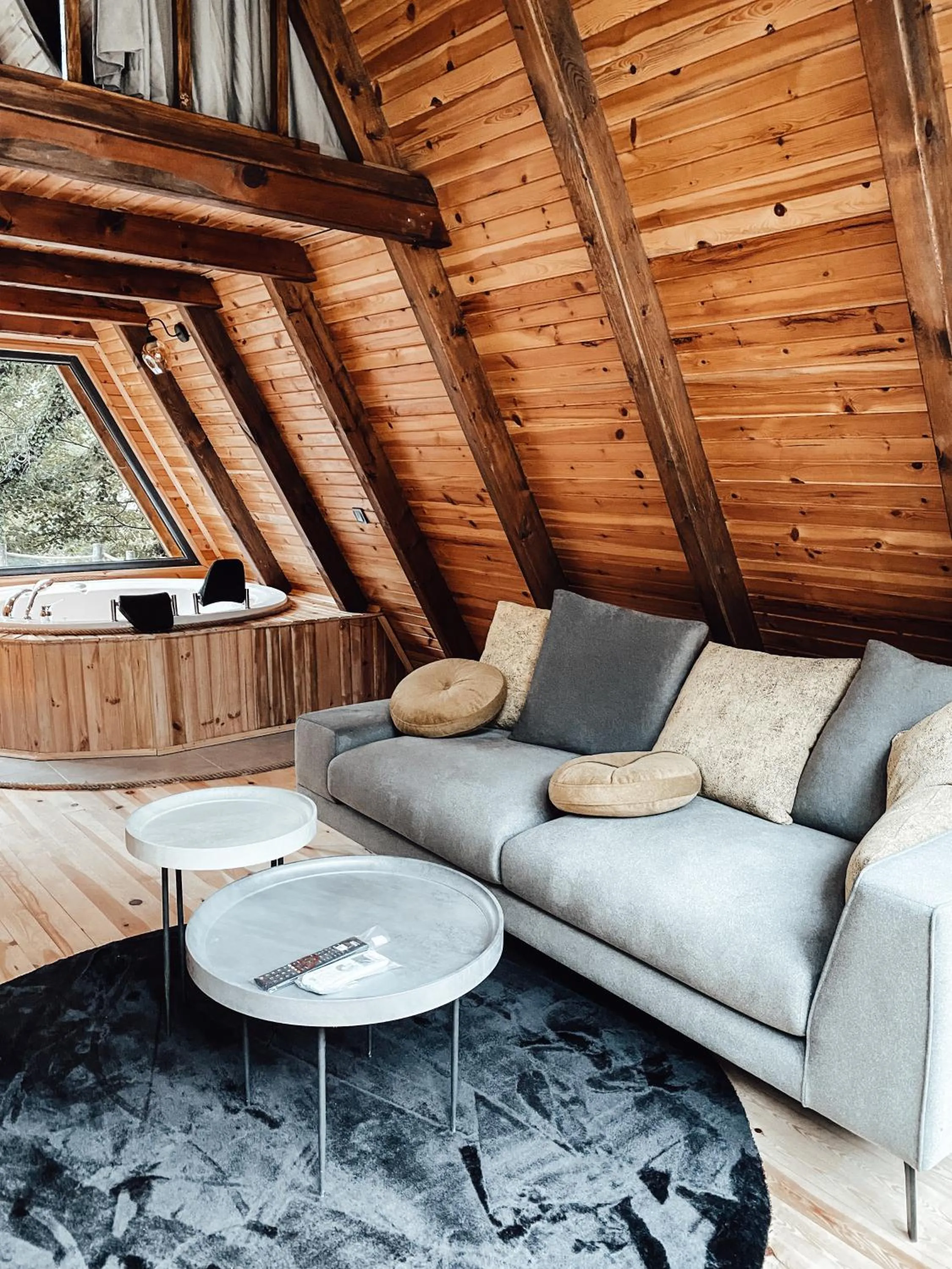 Living room in Loca Sapanca Bungalov