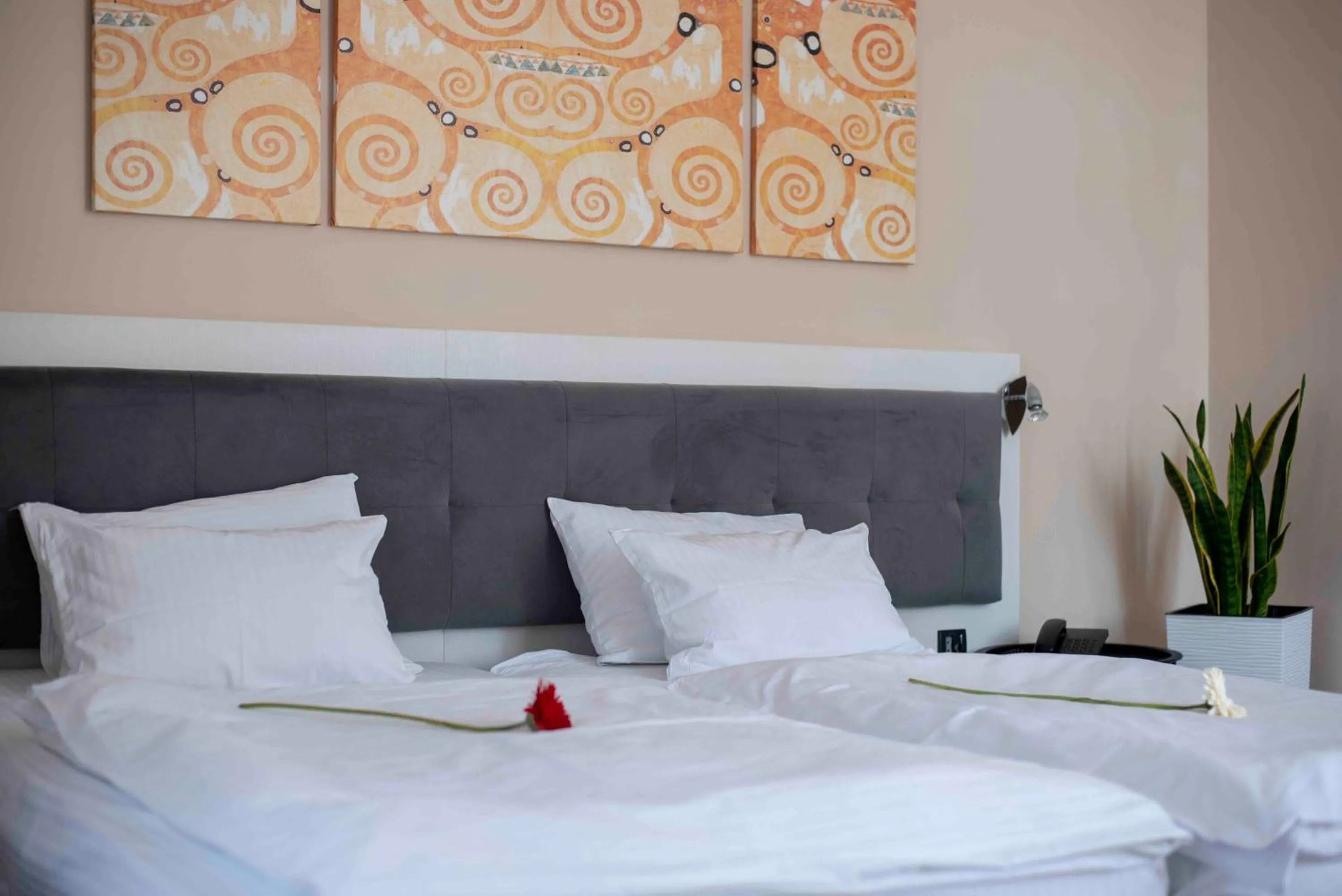 Hotel Platani
