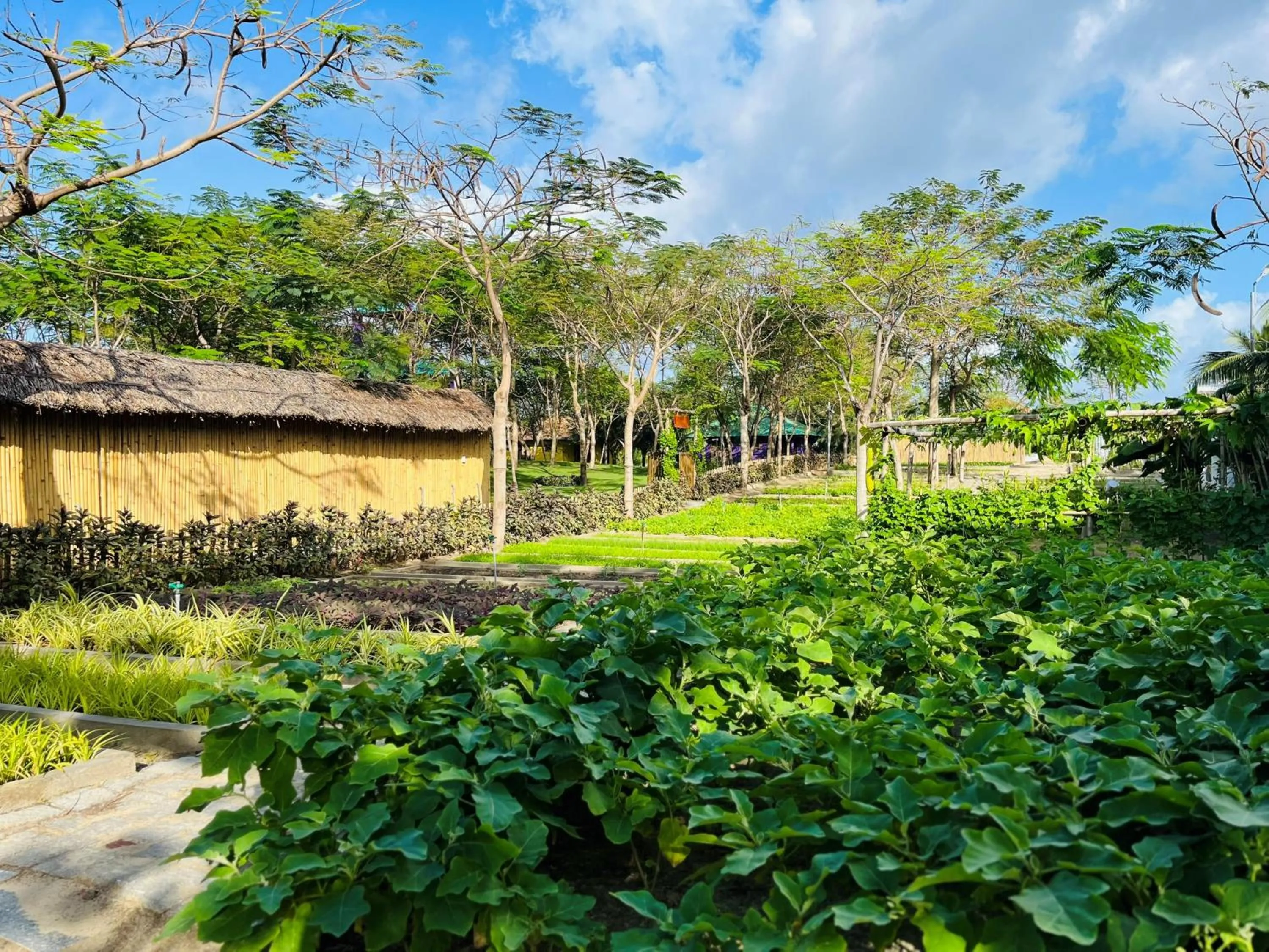 Garden in TTC Van Phong Bay Resort - Himalaya Sauna & Steam Retreat Included