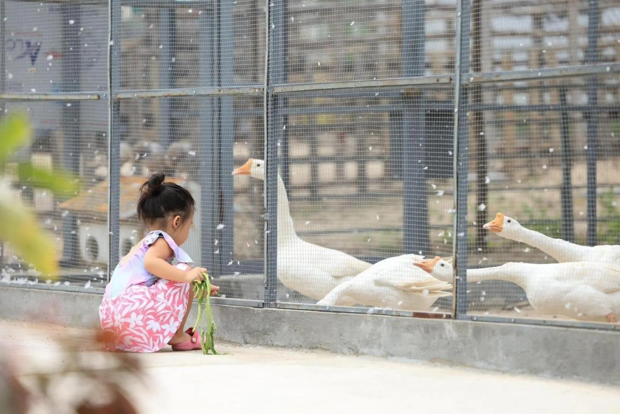 Activities in TTC Van Phong Bay Resort - Himalaya Sauna & Steam Retreat Included