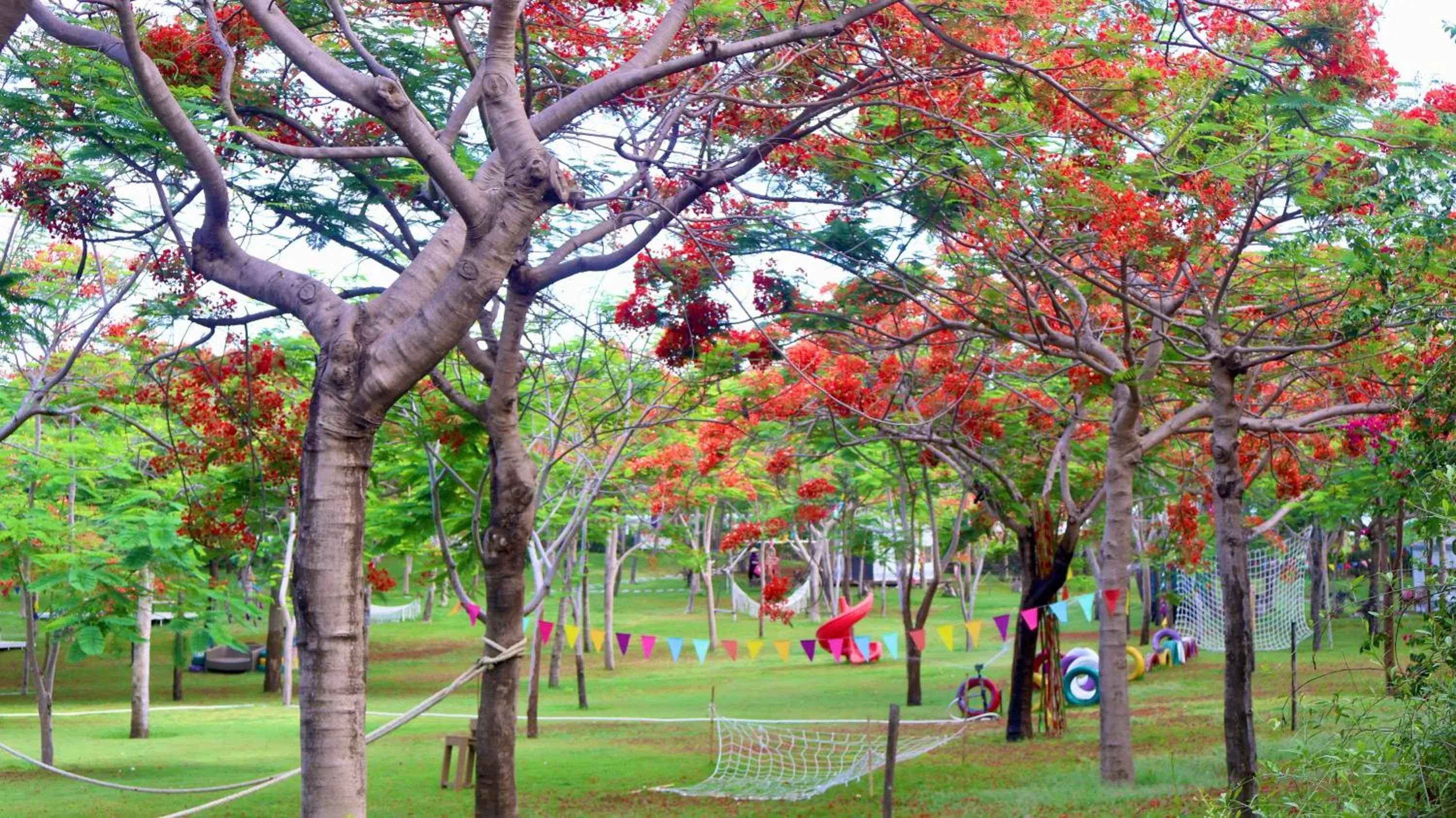 Day in TTC Van Phong Bay Resort - Himalaya Sauna & Steam Retreat Included