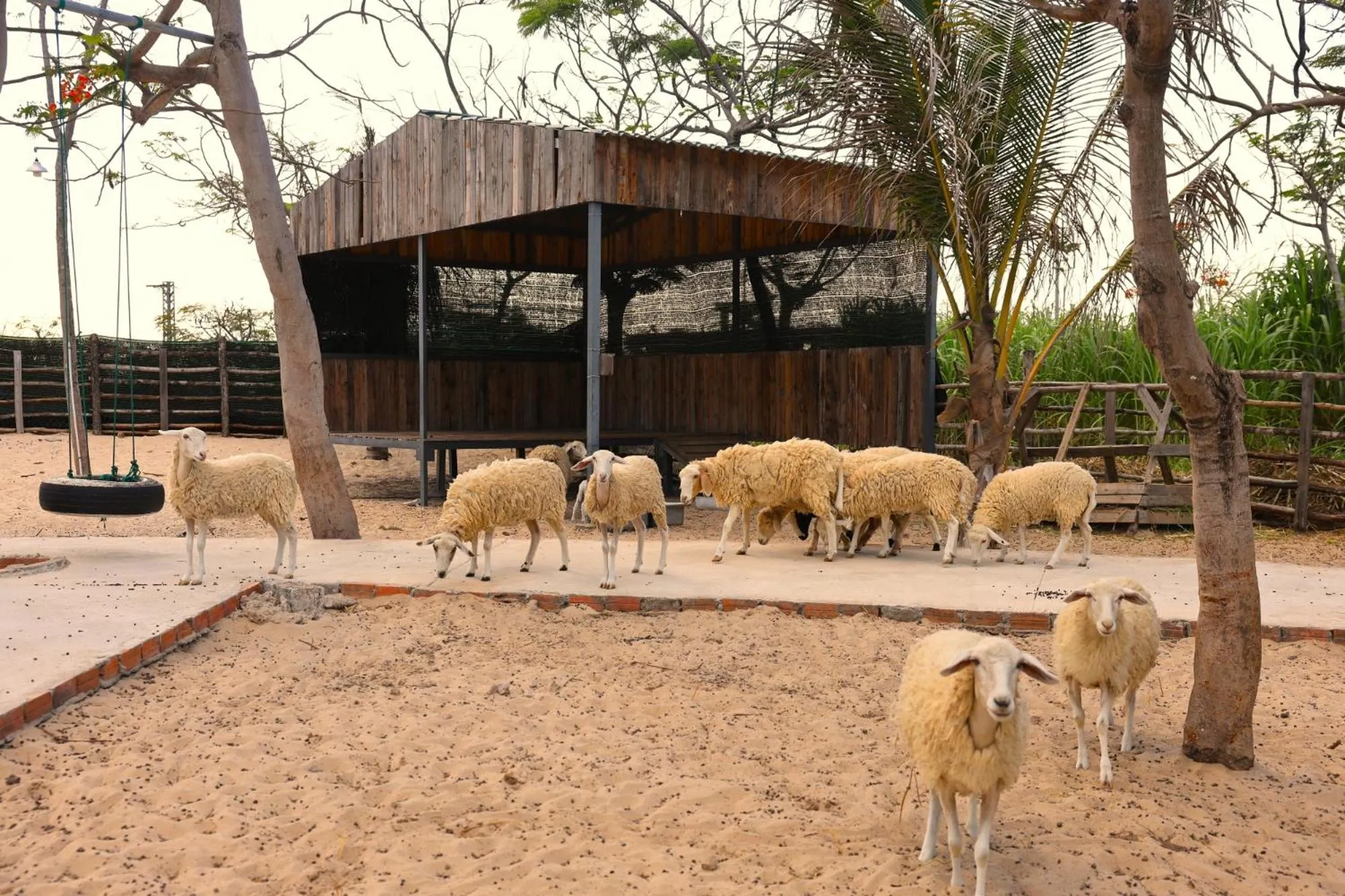 Activities in TTC Van Phong Bay Resort - Himalaya Sauna & Steam Retreat Included