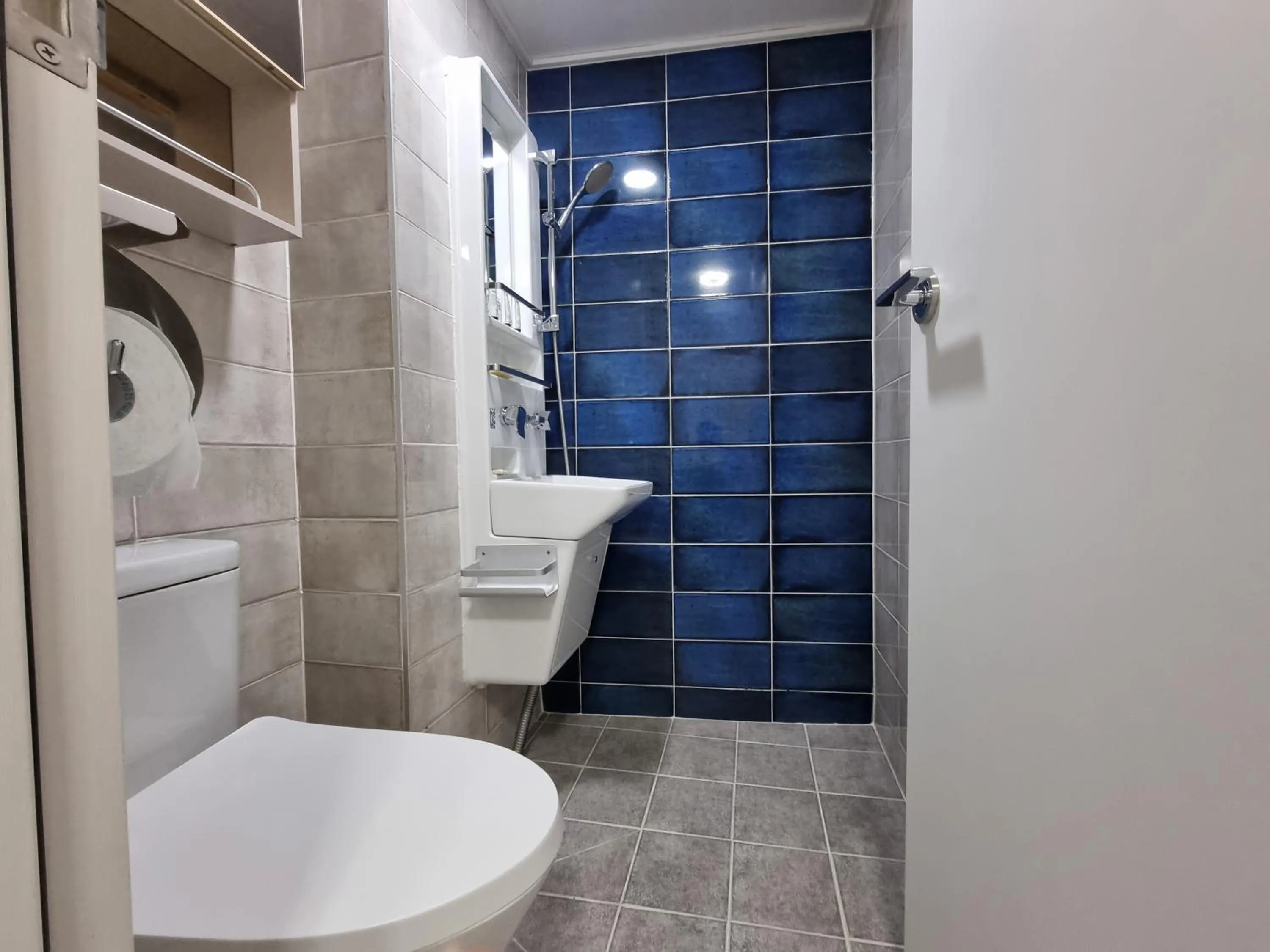 Shower in Bluehum Guest house