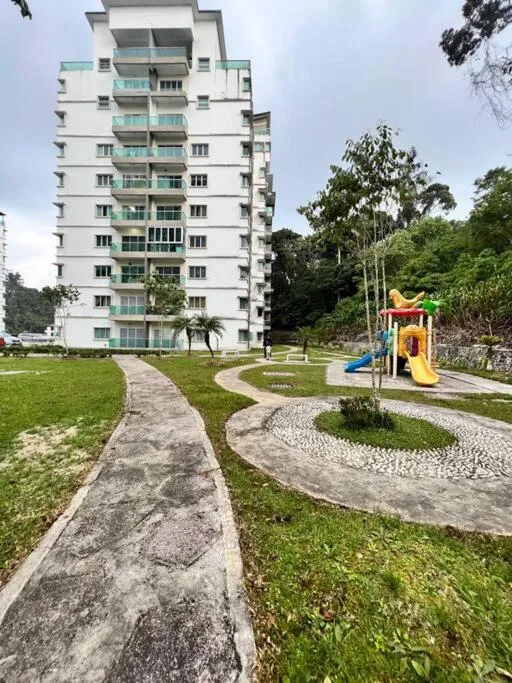 Lily King (modern and comfy)