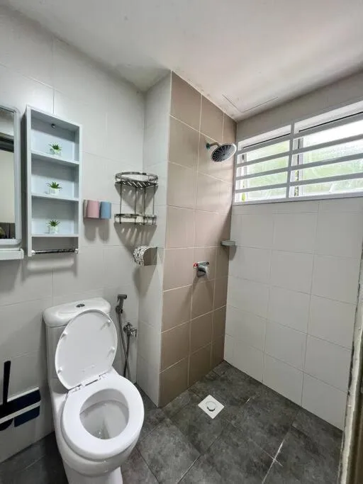 Lily King (modern and comfy)