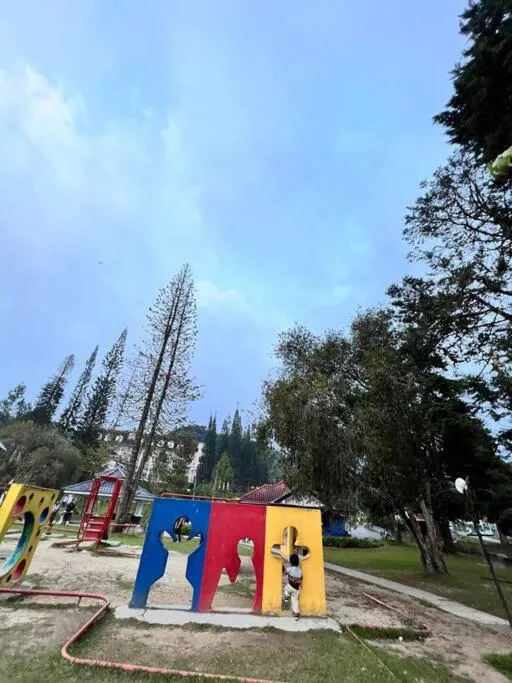 Lily King (modern and comfy)