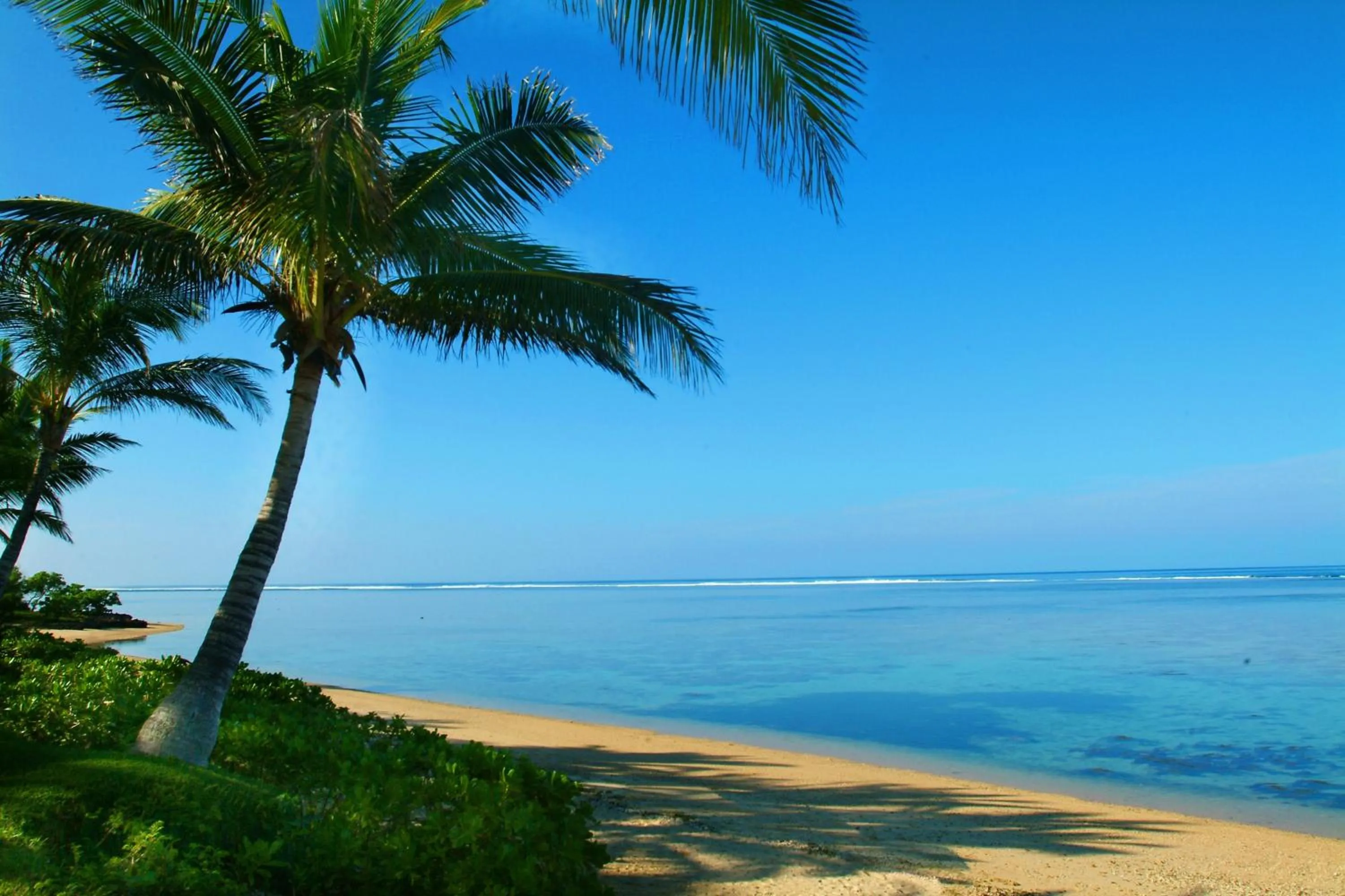 Beach in Bedarra Beach Inn
