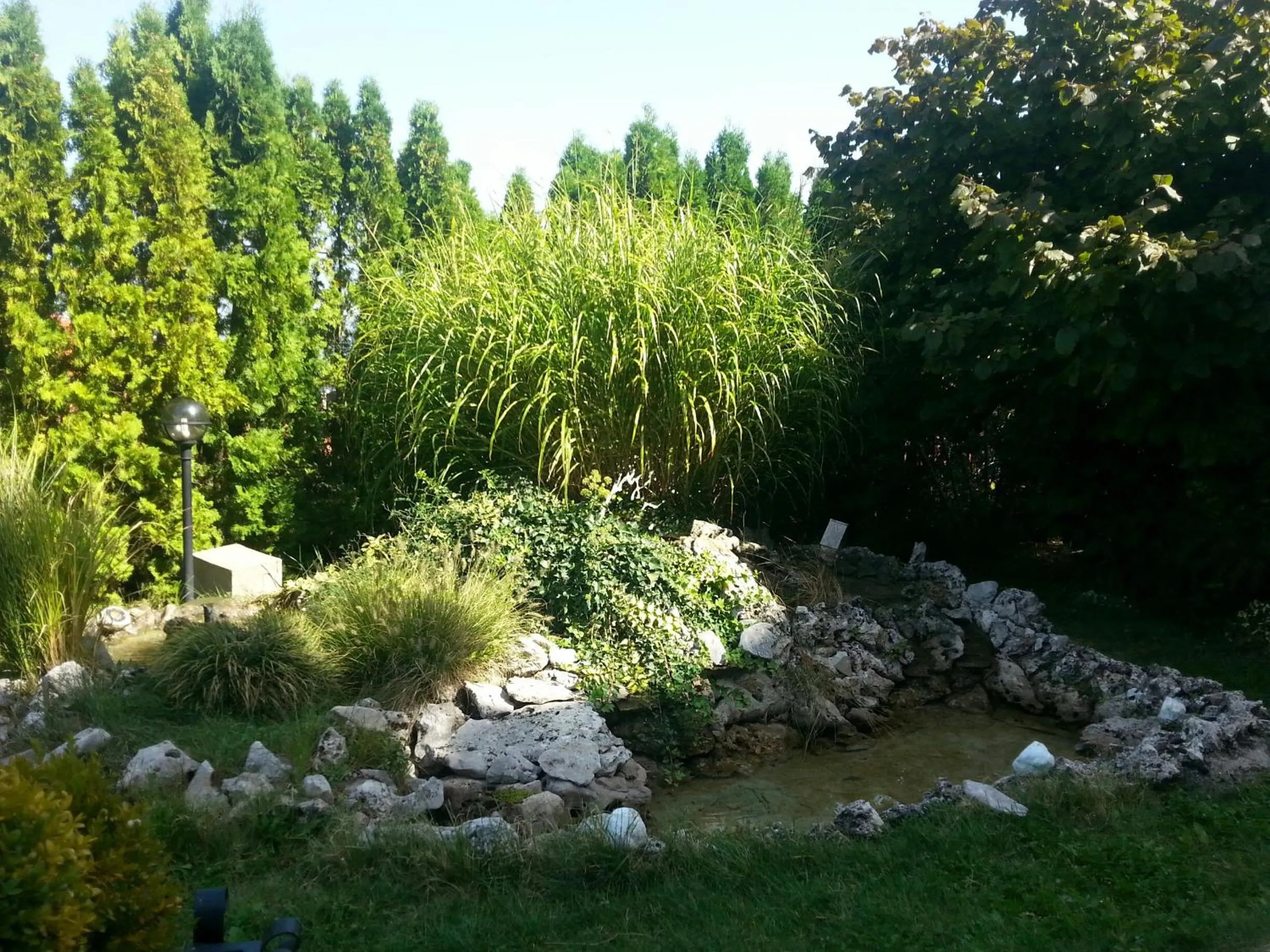 Garden in Hotel Marica