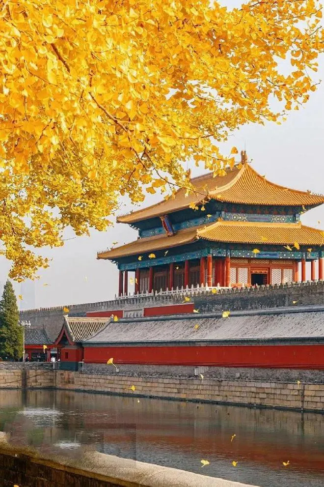 Nearby landmark in base-Beijing Wangfujing Serviced Apartment- in Hutong &Bike rental &Close to Forbidden City, Tian'anmen Square &Subway nearby &Free coffee &Washing machine,Kitchen &Restaurant discount &English speaking &High speed free WiFi