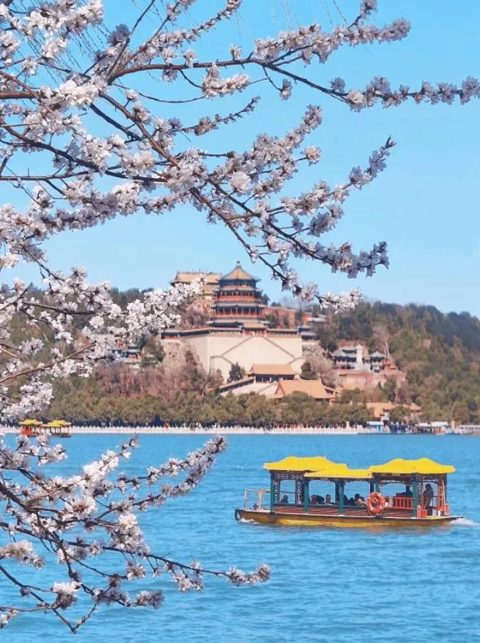 Spring in base-Beijing Wangfujing Serviced Apartment- in Hutong &Bike rental &Close to Forbidden City, Tian'anmen Square &Subway nearby &Free coffee &Washing machine,Kitchen &Restaurant discount &English speaking &High speed free WiFi