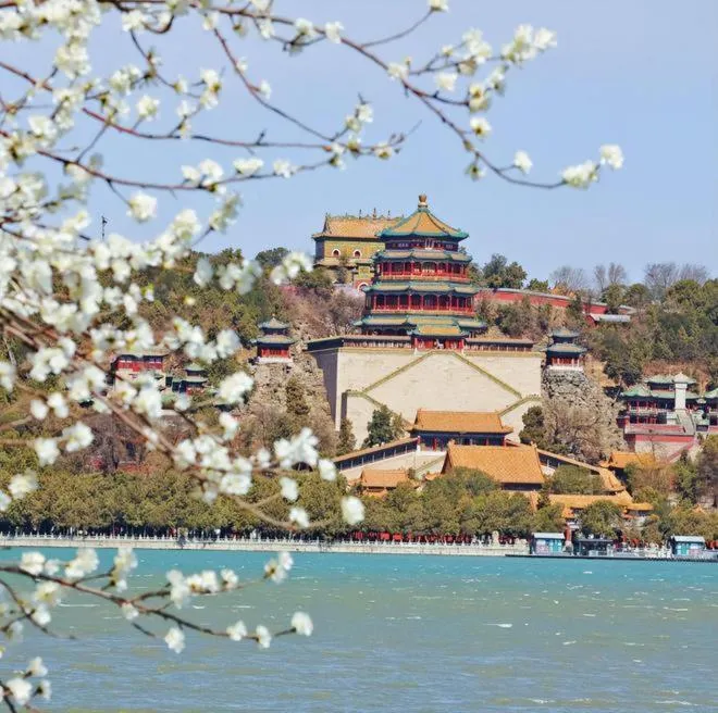 Spring in base-Beijing Wangfujing Serviced Apartment- in Hutong &Bike rental &Close to Forbidden City, Tian'anmen Square &Subway nearby &Free coffee &Washing machine,Kitchen &Restaurant discount &English speaking &High speed free WiFi