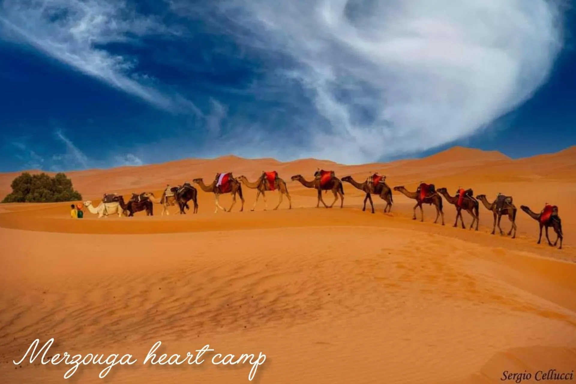Activities in Merzouga heart camp
