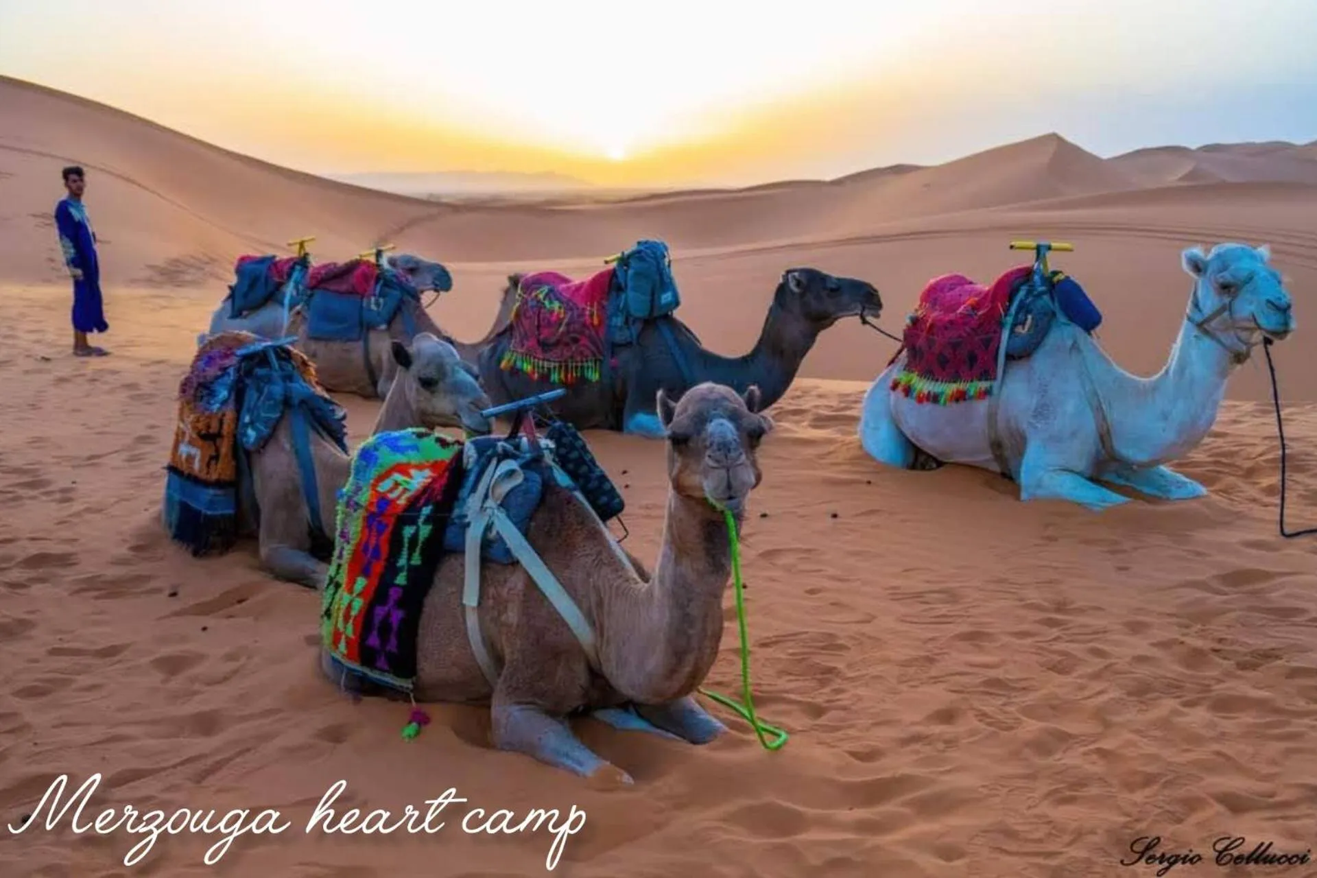 Activities in Merzouga heart camp