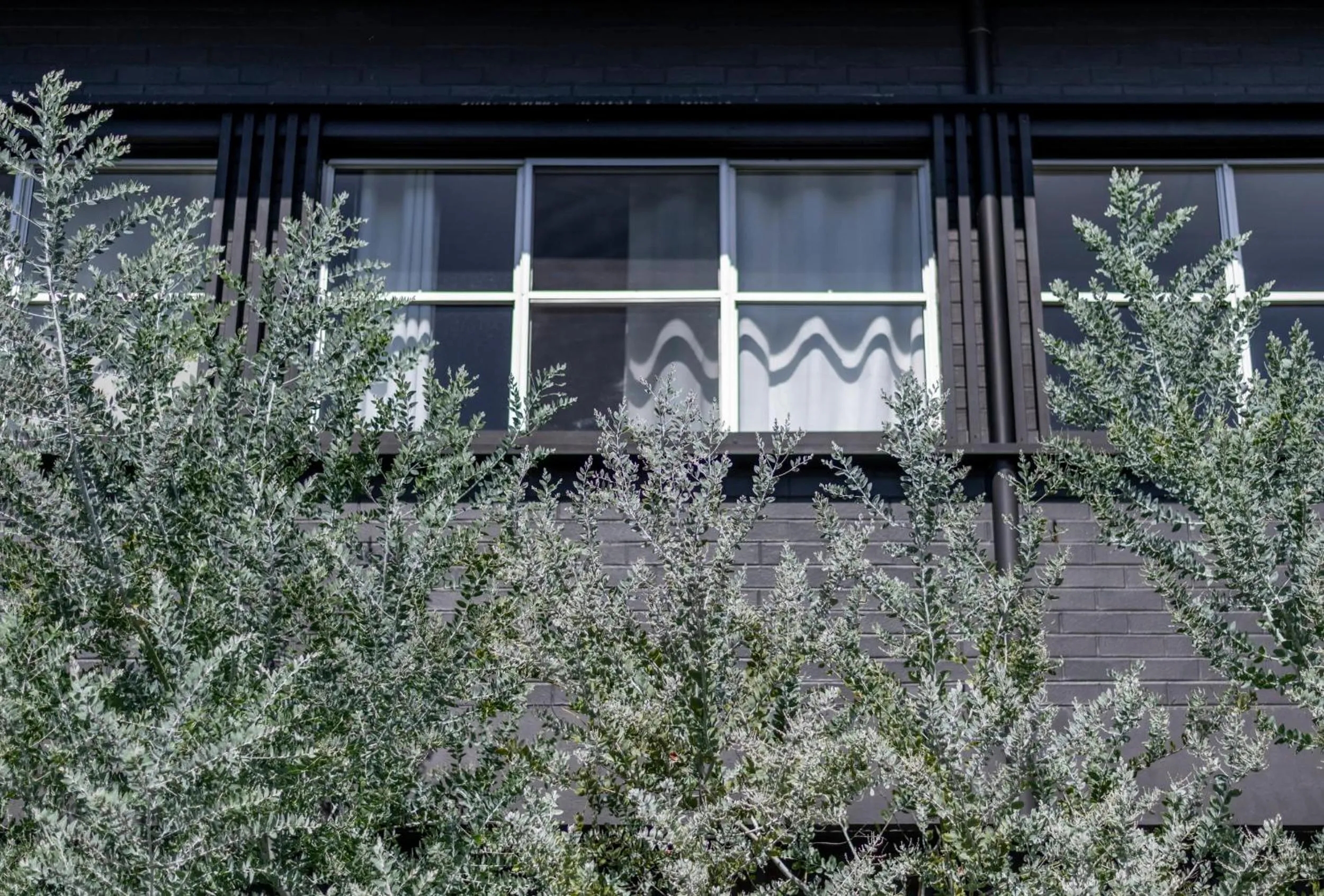 Yamba Views Iluka Apartment