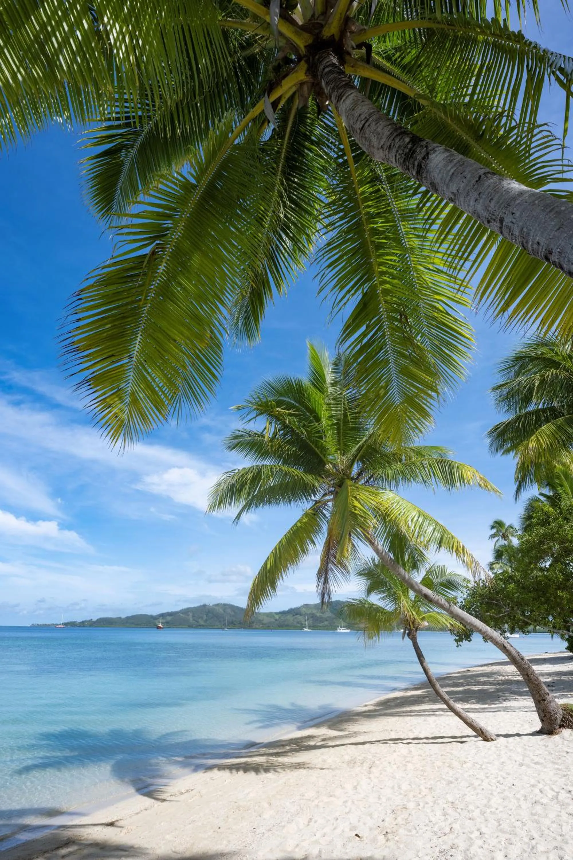 Beach in Plantation Island Resort