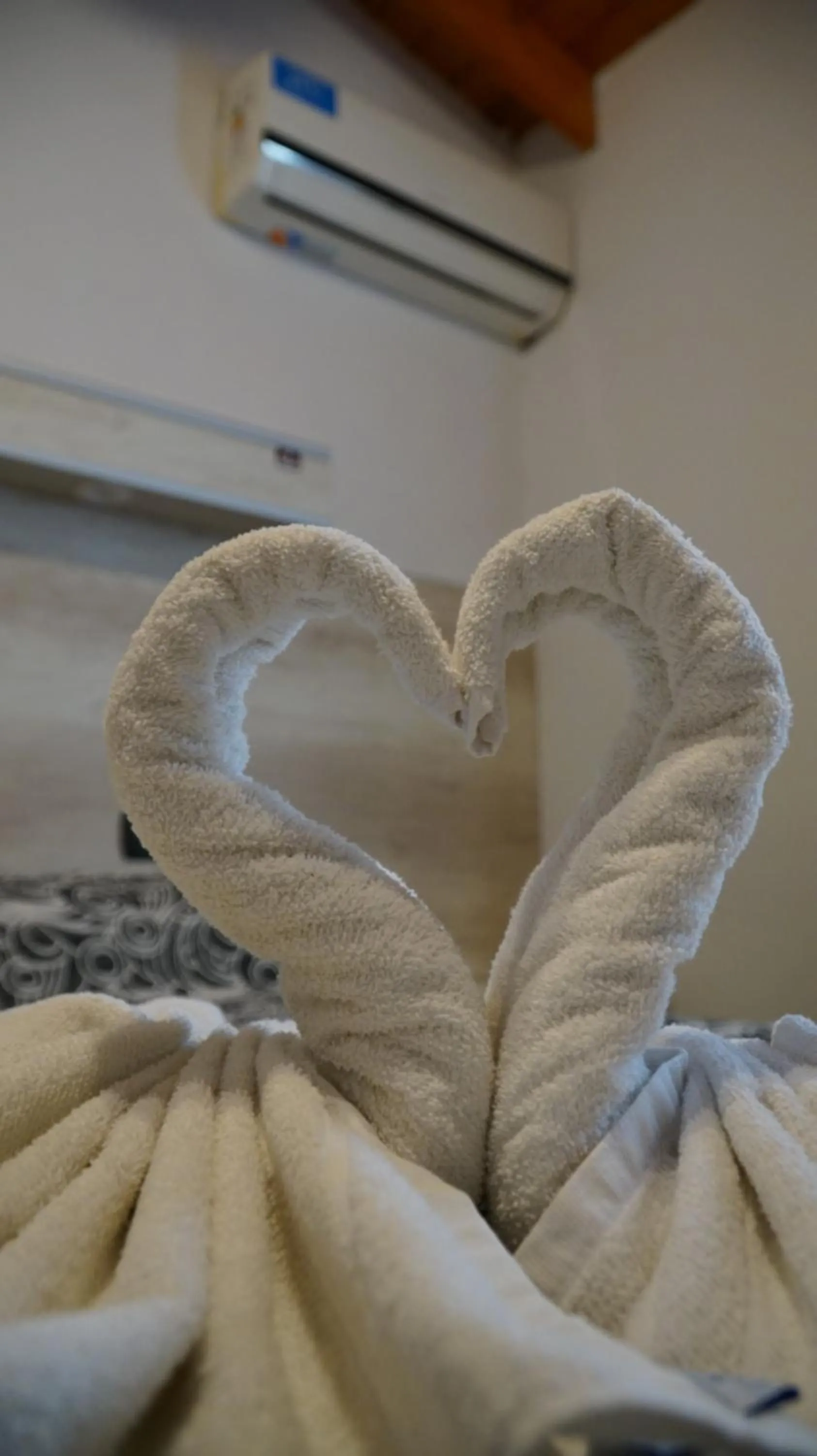 Photo of the whole room in Aranjuez Real