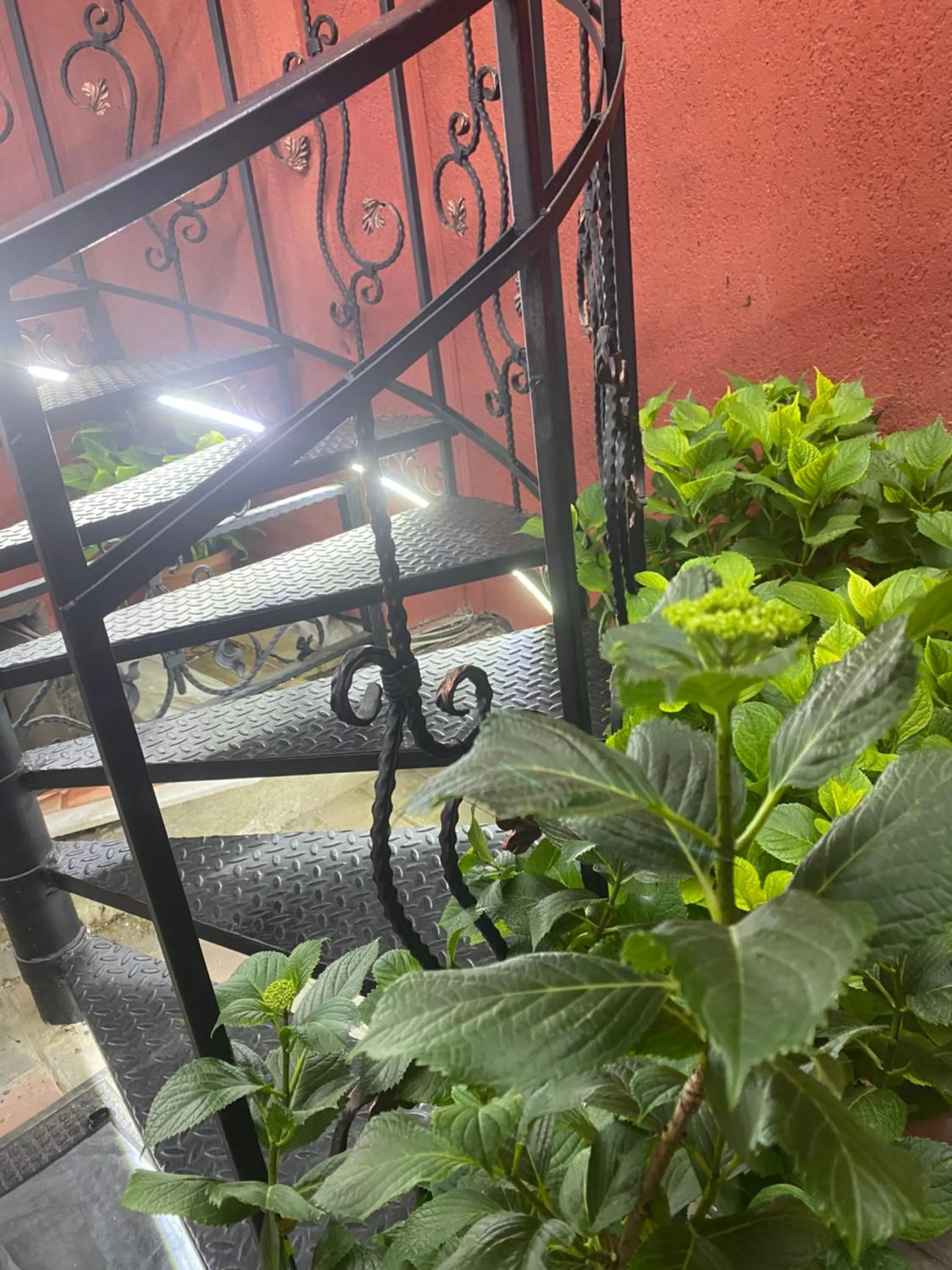 Property building in Mimino T&G