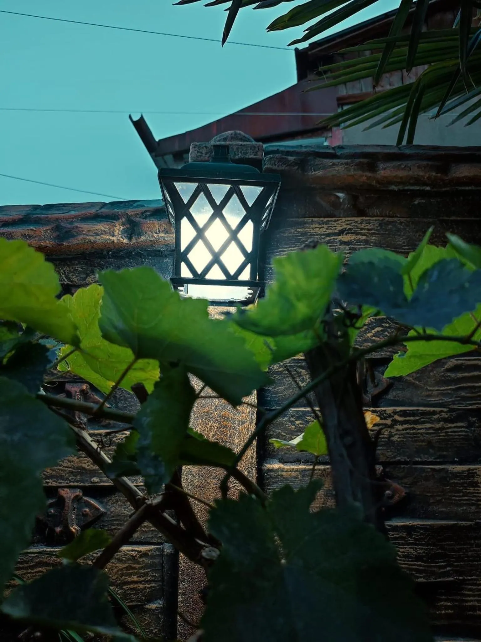 Garden in Mimino T&G