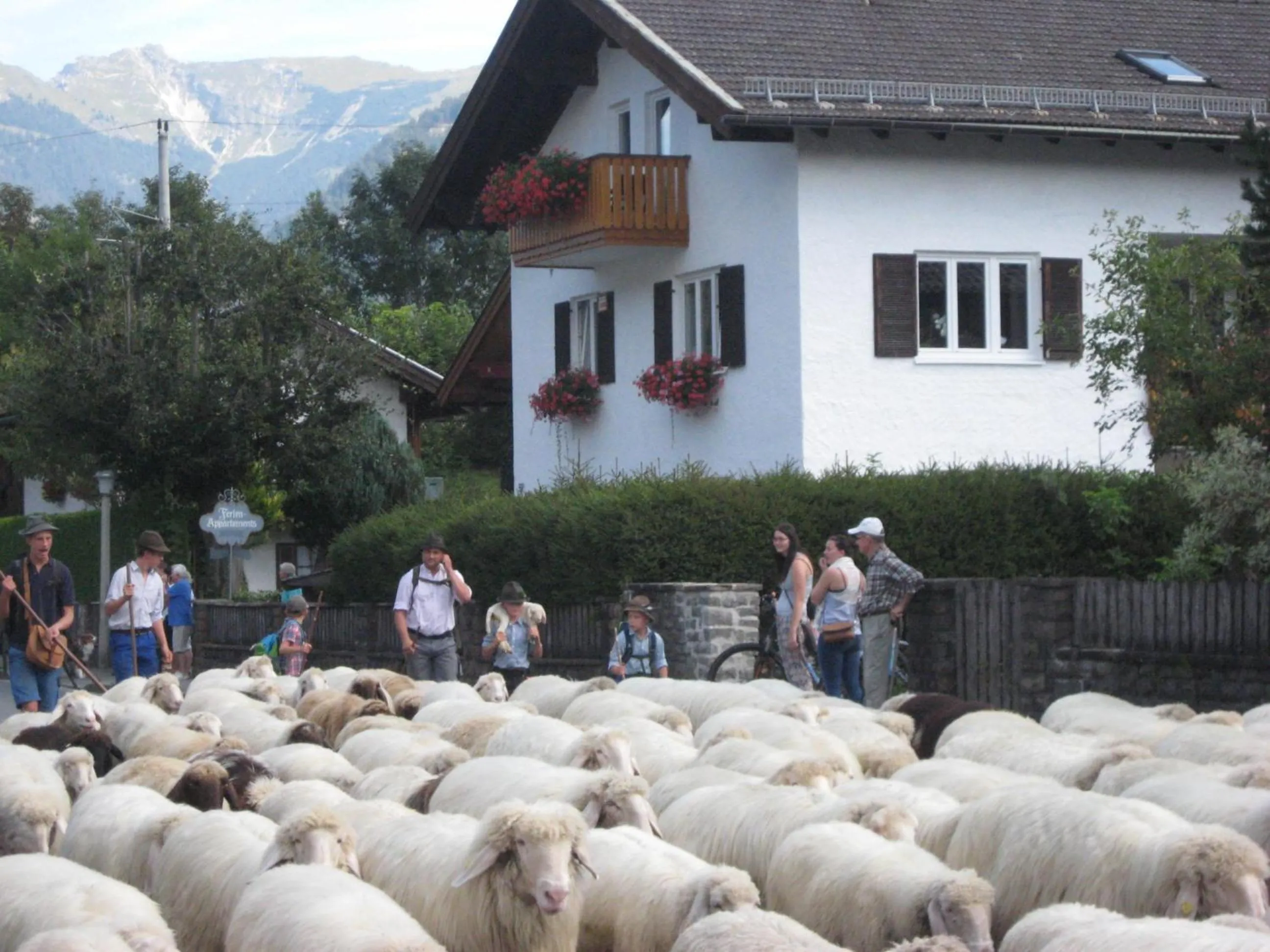 Ferienhaus Adelia