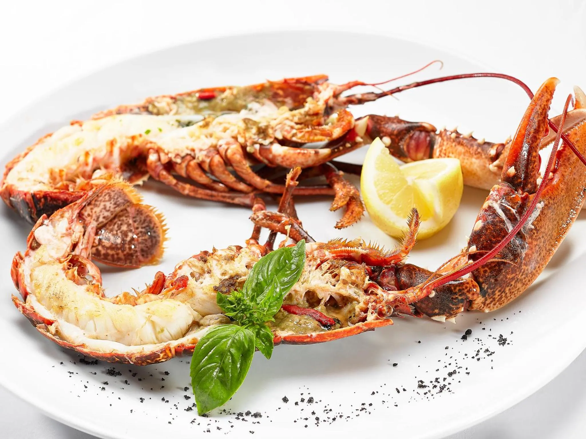 Food and drinks in Villa Blanca Urban Hotel