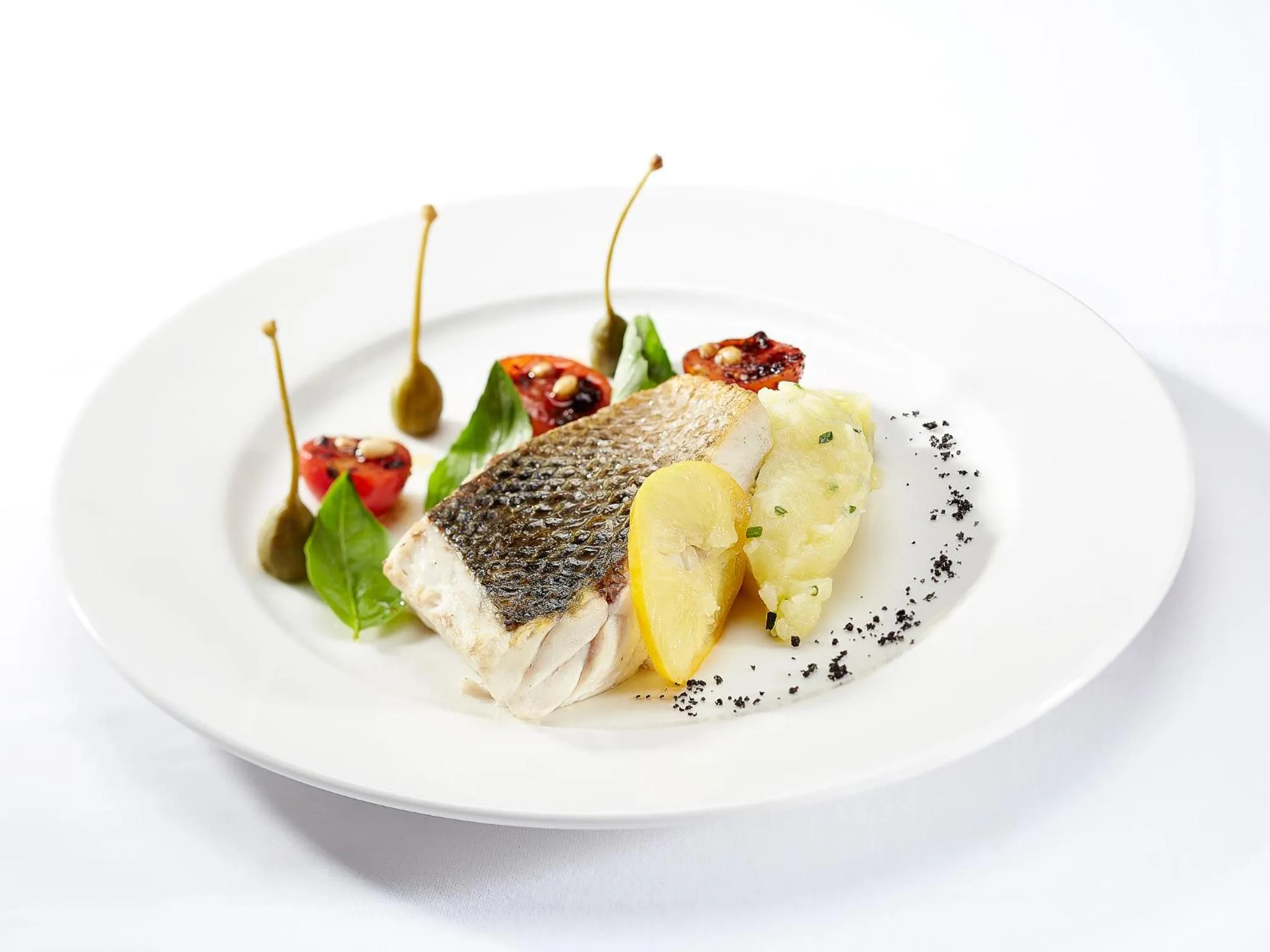 Food and drinks in Villa Blanca Urban Hotel