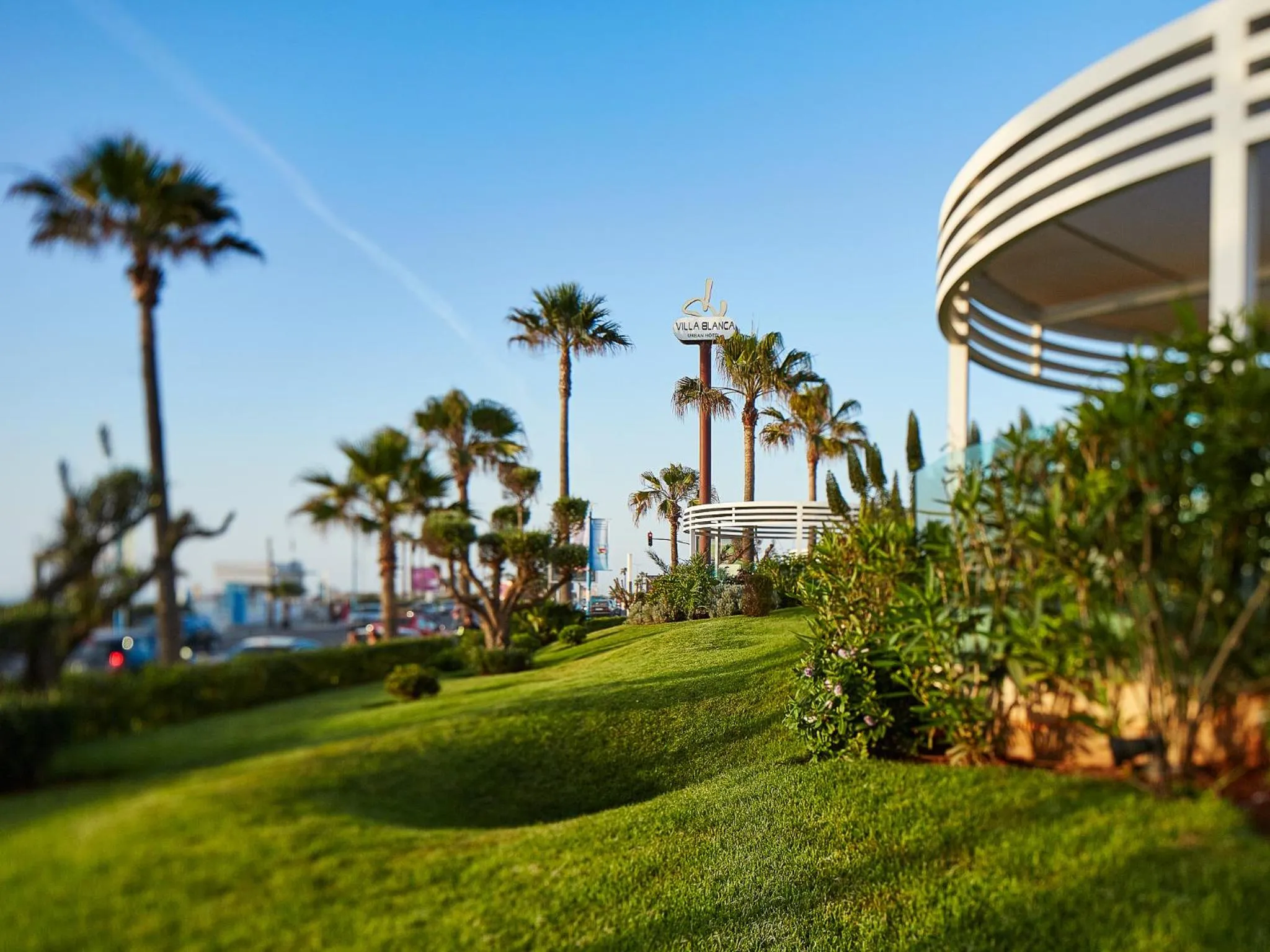 Garden in Villa Blanca Urban Hotel
