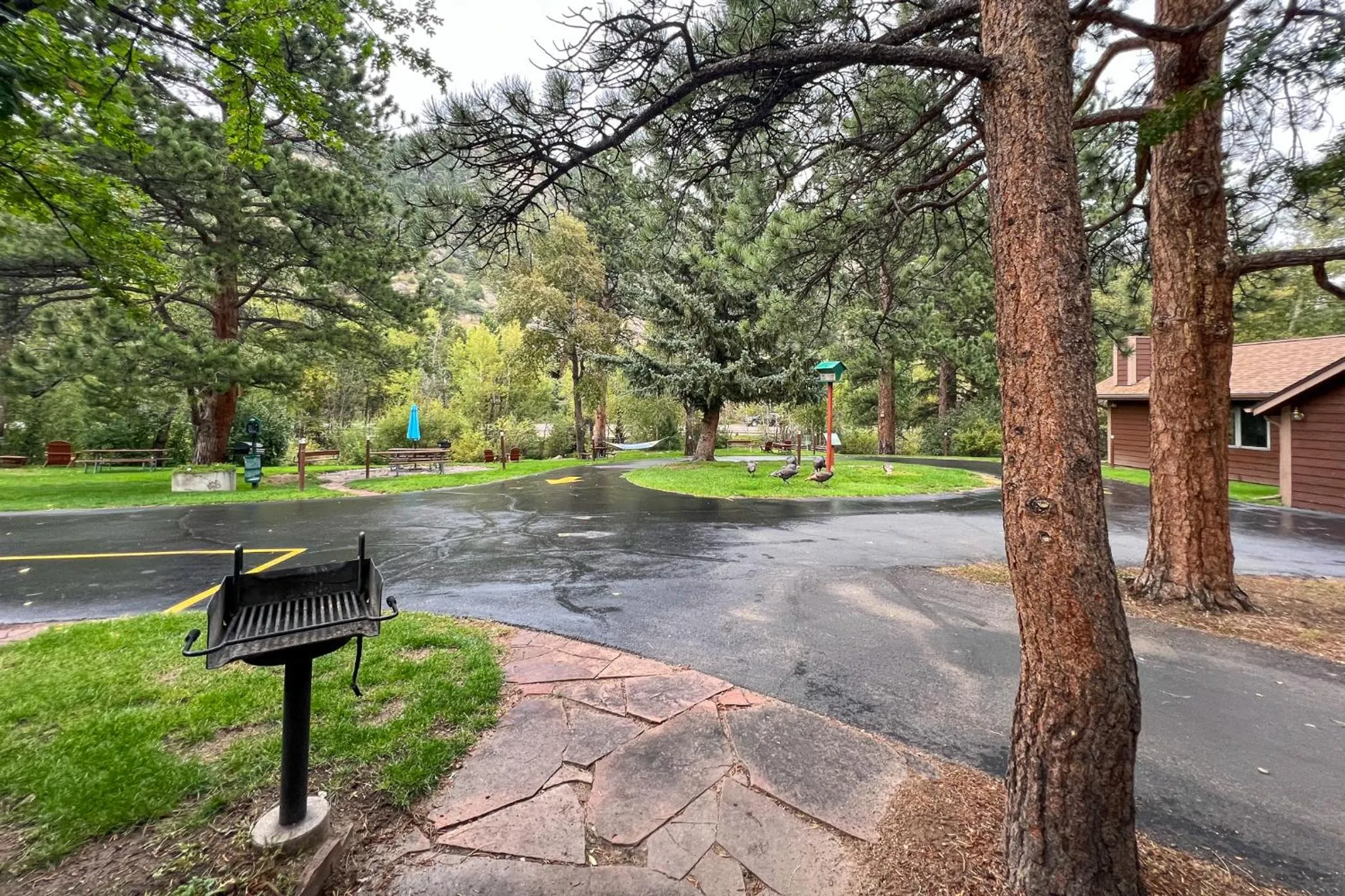 Natural landscape in Castle Mountain Lodge