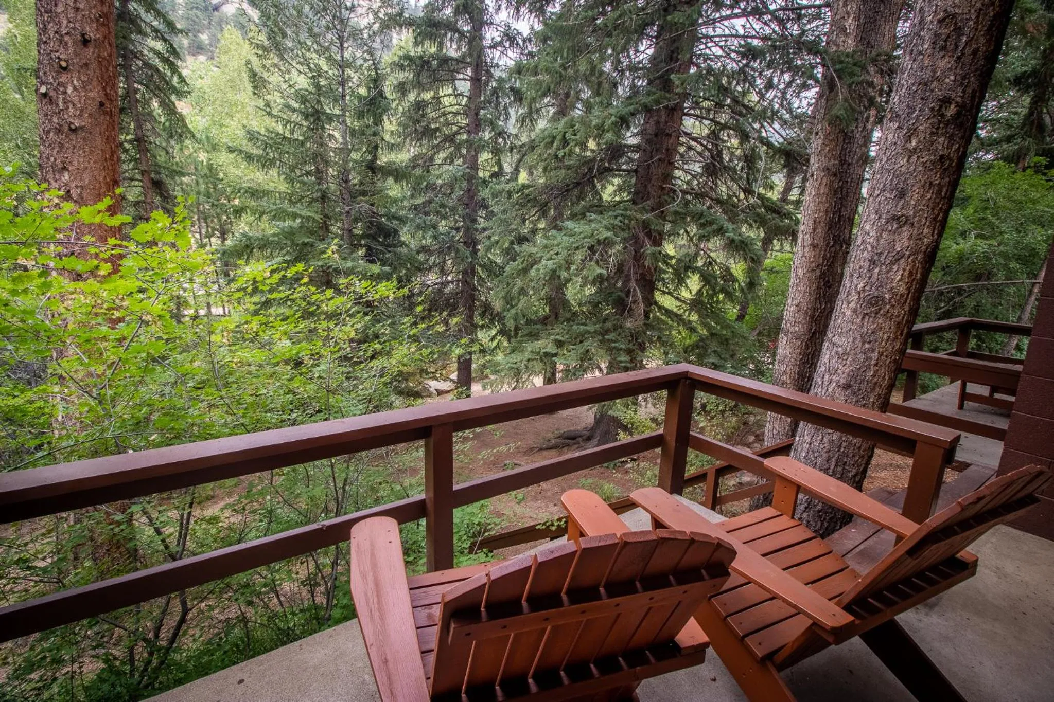 Natural landscape in Castle Mountain Lodge