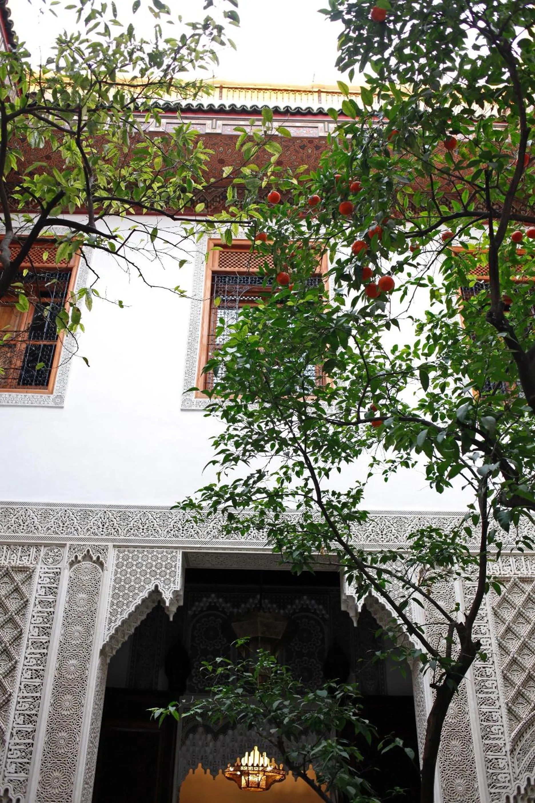 Garden in Riad Alya