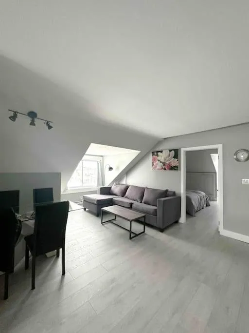 Unique modern luxury 2 bedroom apartment rental