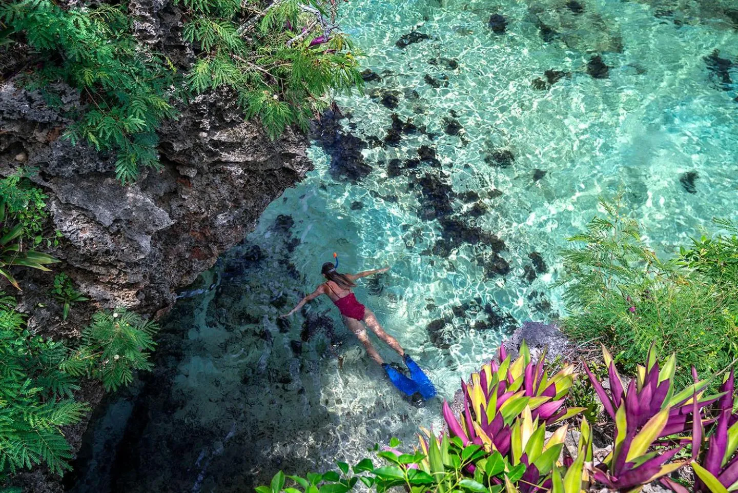 Snorkeling in Shangri-La Yanuca Island, Fiji