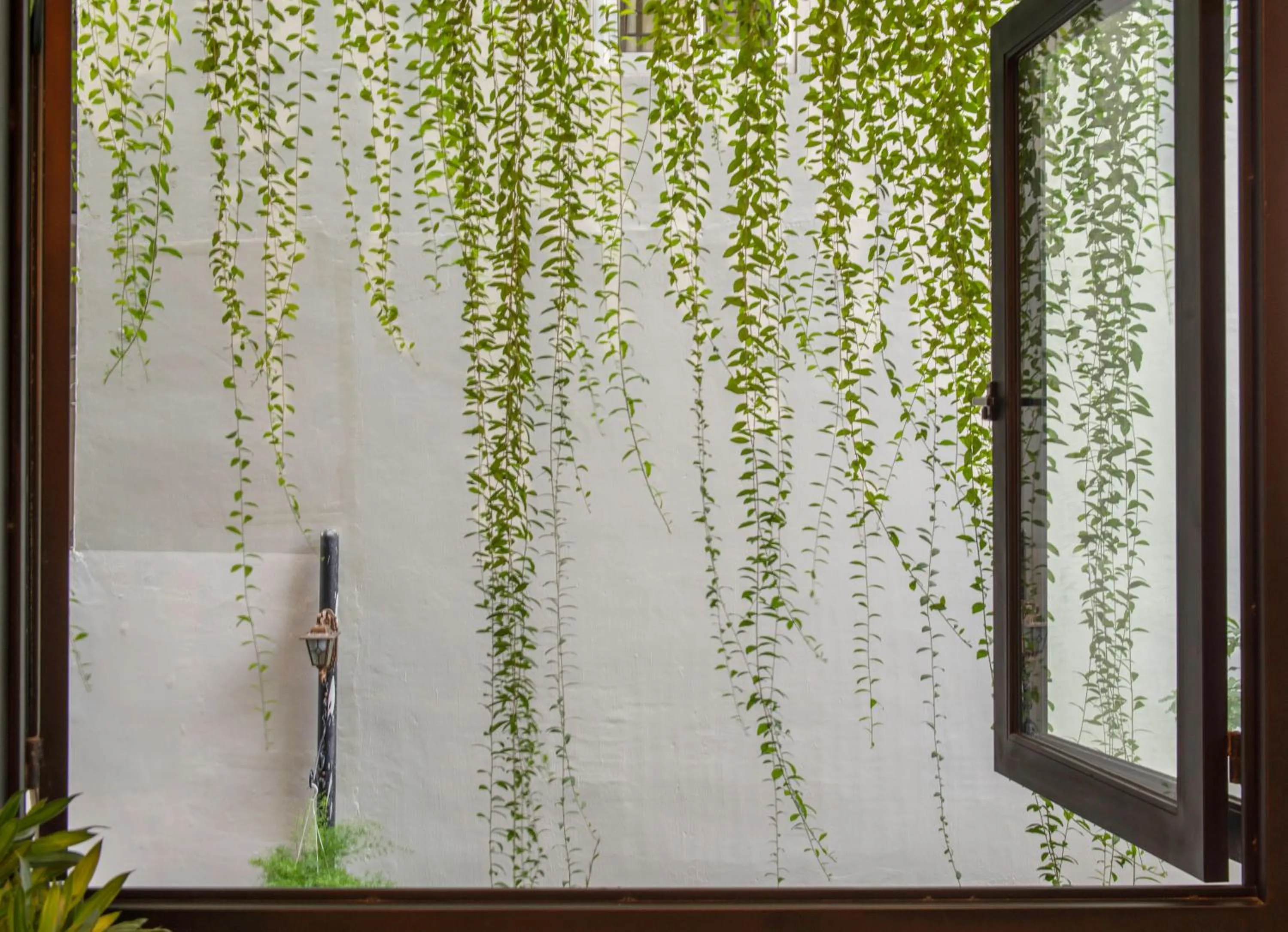 Garden in Aaron Boutique Hotel