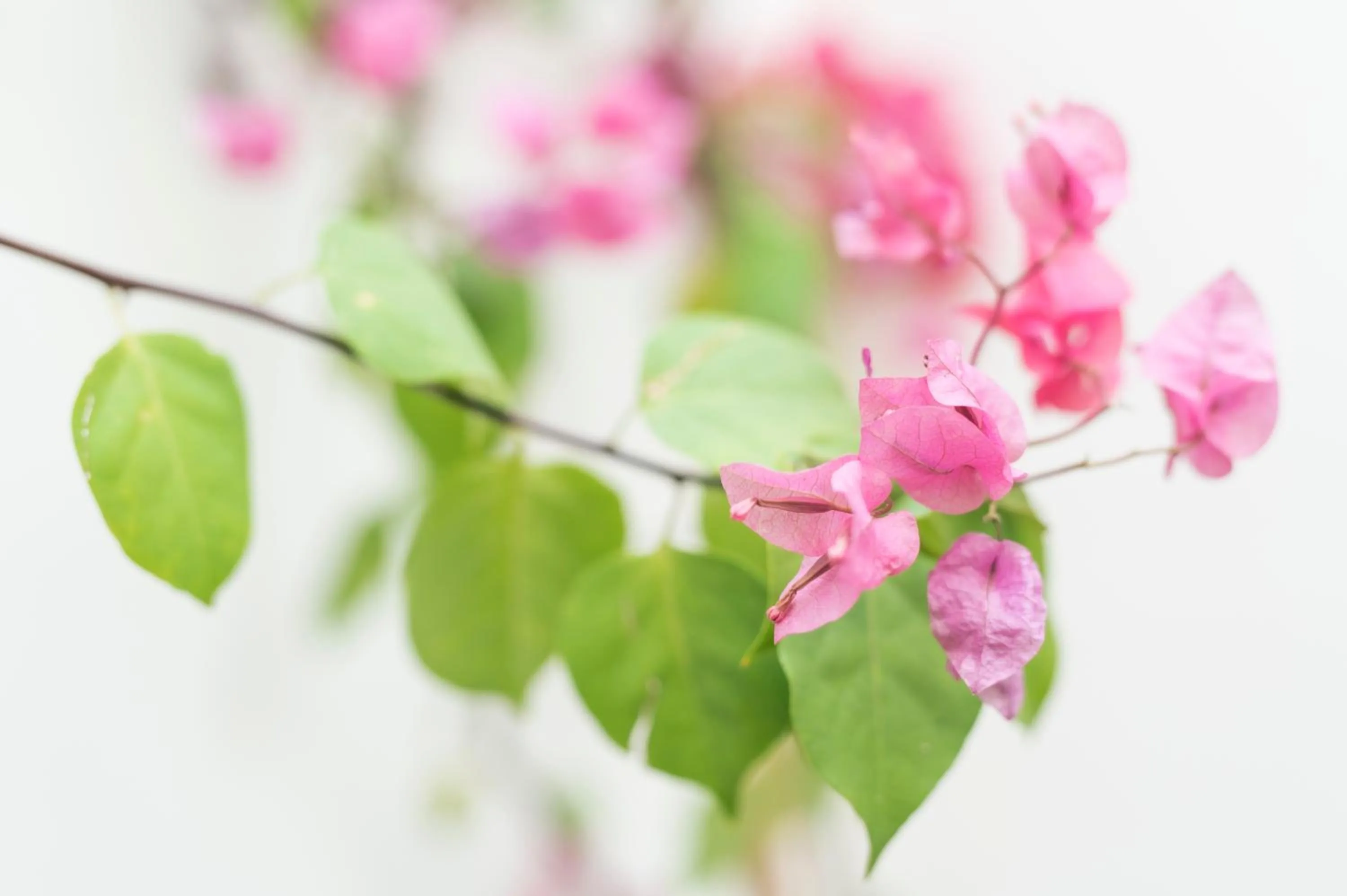 Decorative detail in Legado Magdalena Hotel