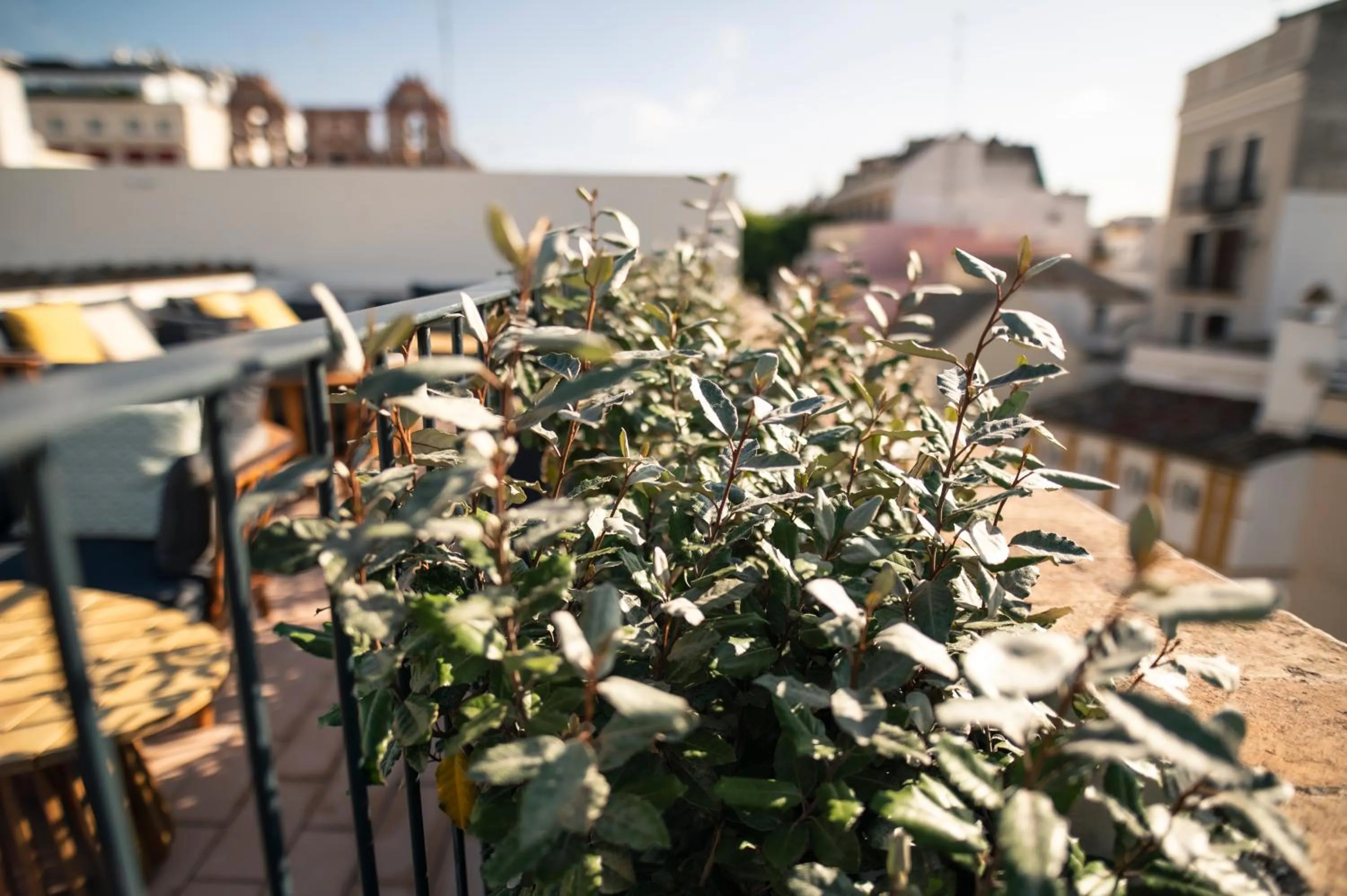 Balcony/Terrace in Legado Magdalena Hotel