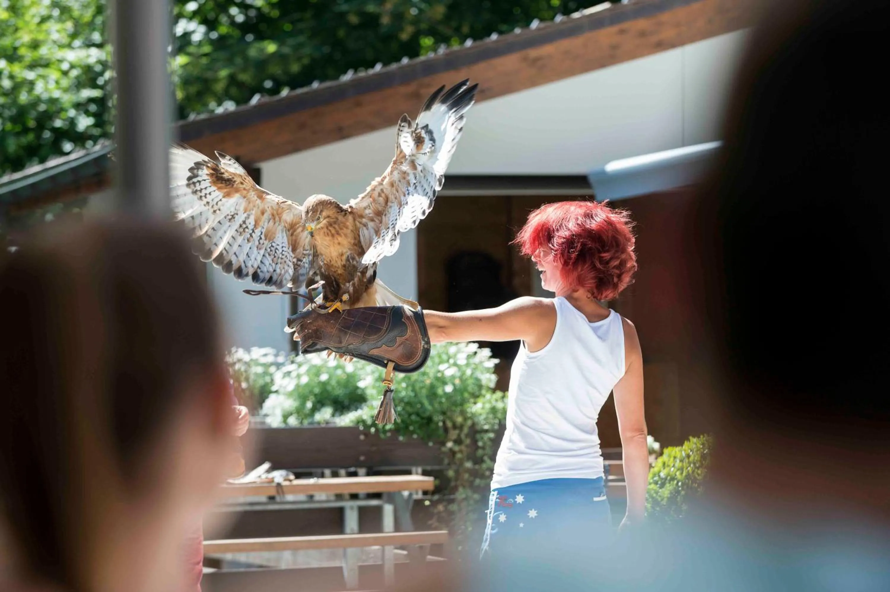 Activities in Hotel Falknerei Galina