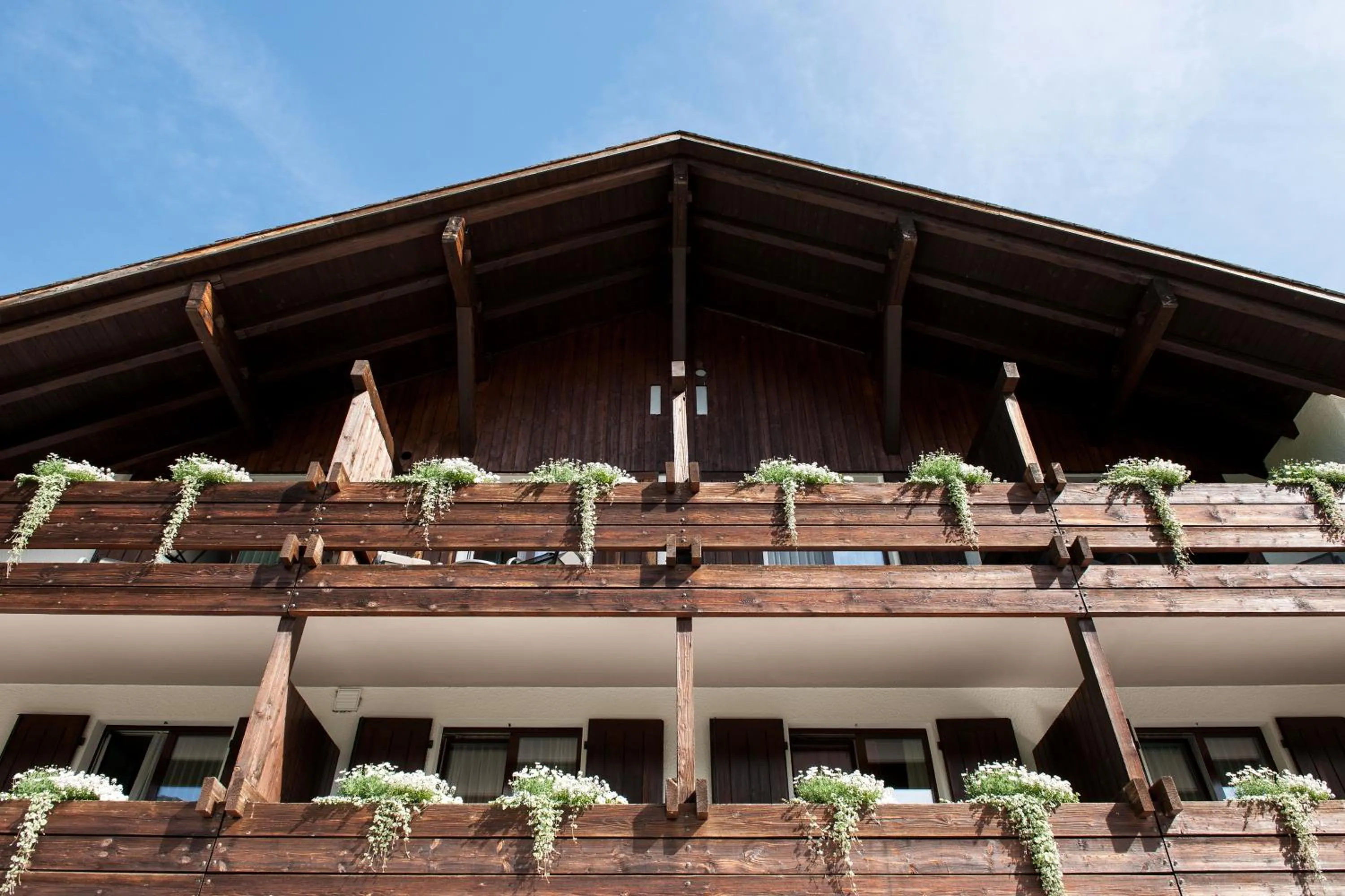 Facade/entrance in Hotel Falknerei Galina