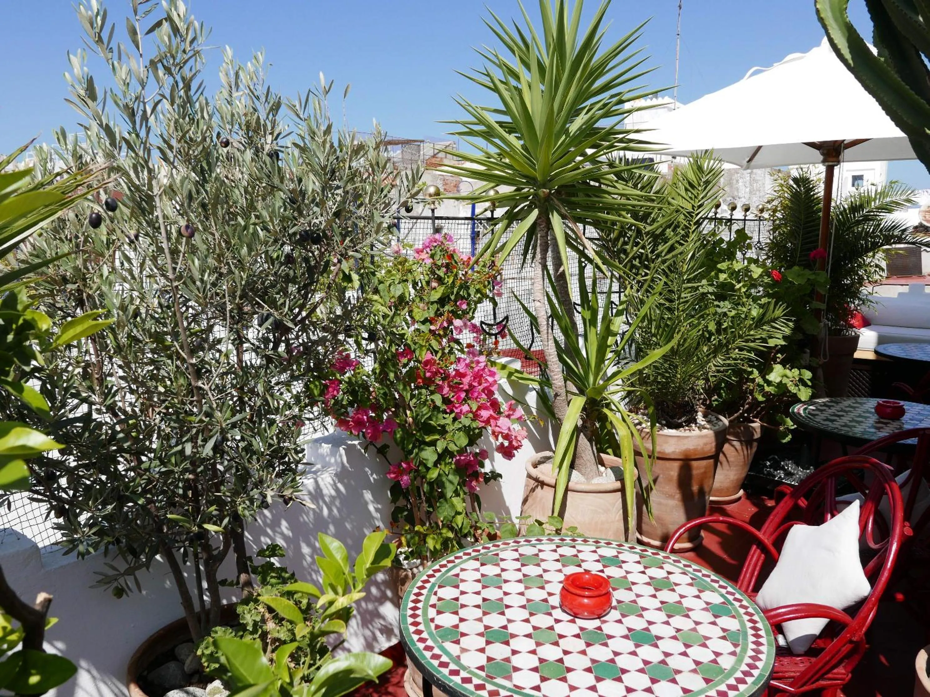 Balcony/Terrace in Dar Sultan