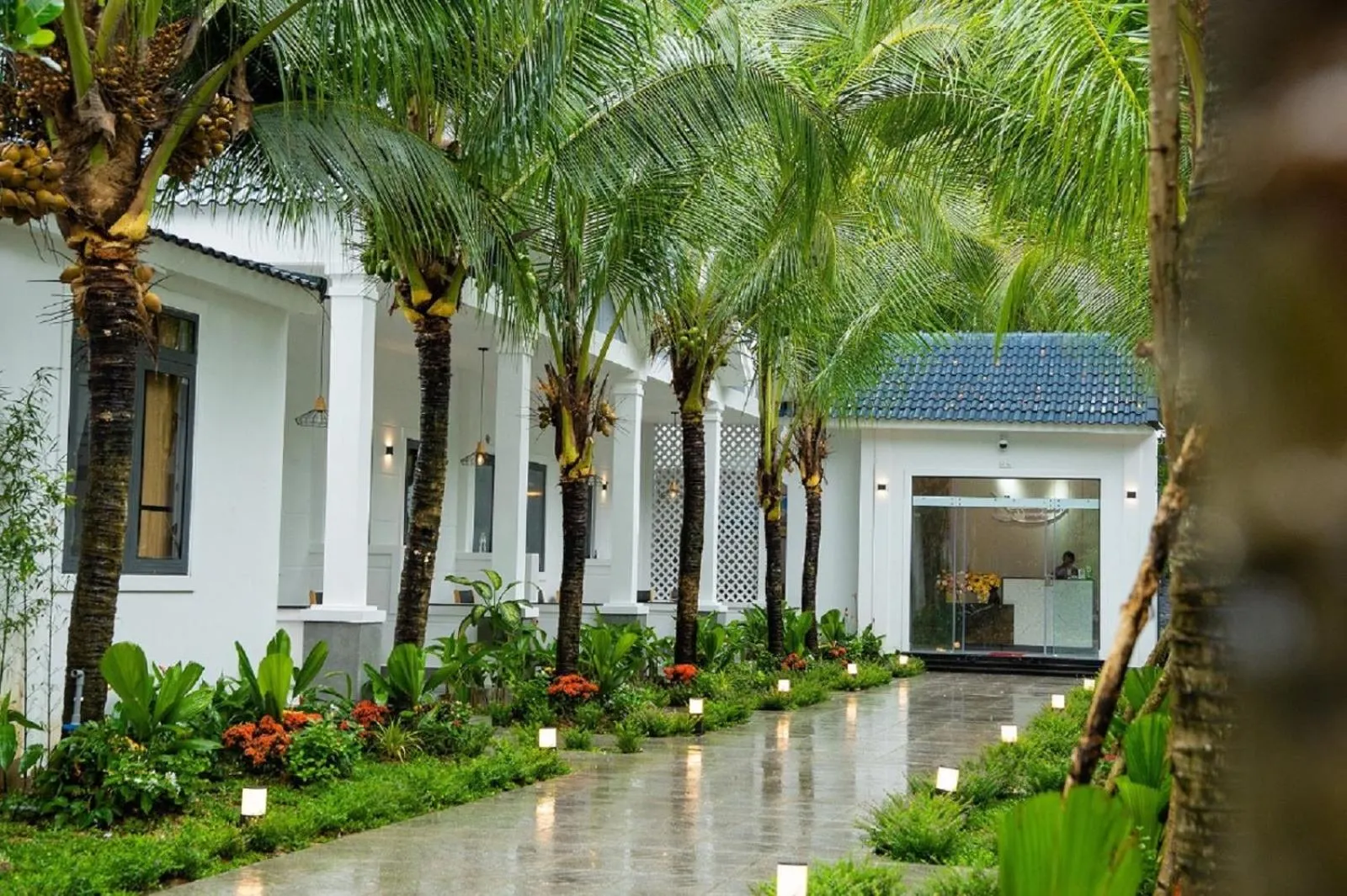 Garden view in NatalieLe's Homestay