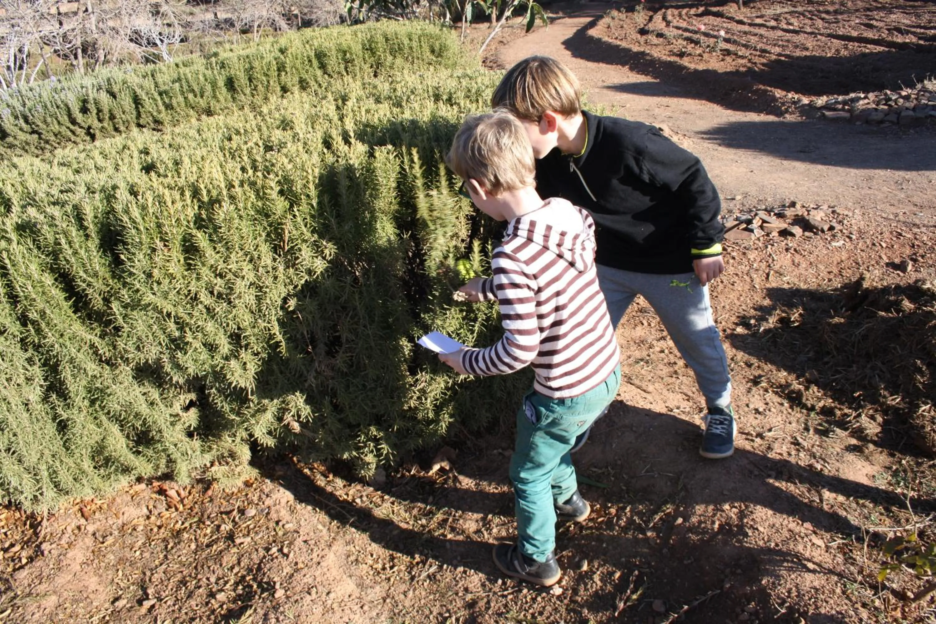 Other in Terres d'Amanar