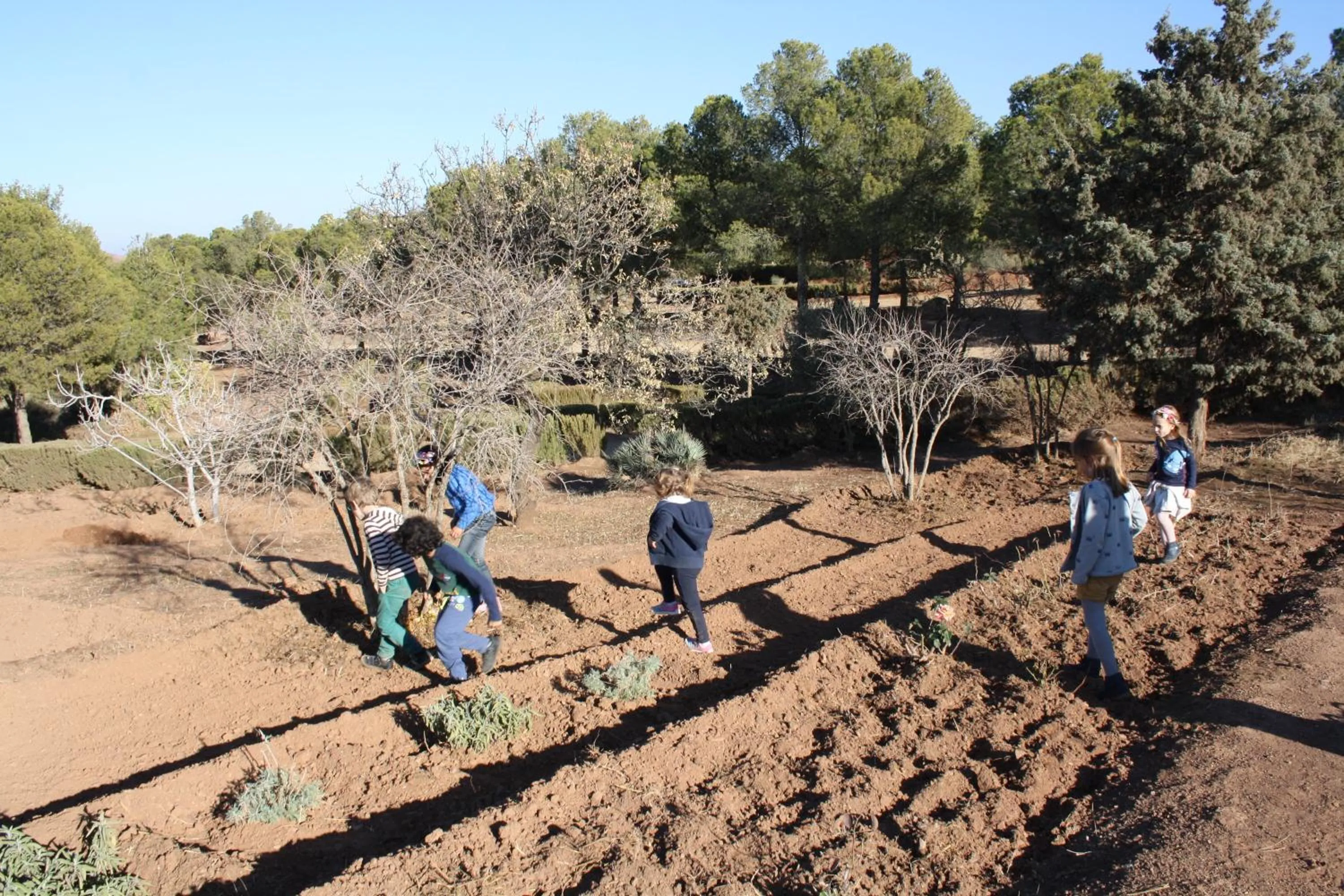 Other in Terres d'Amanar