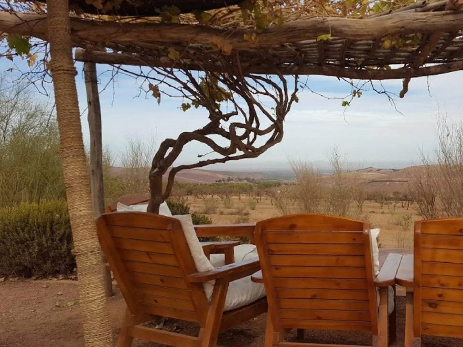 Patio in Terres d'Amanar