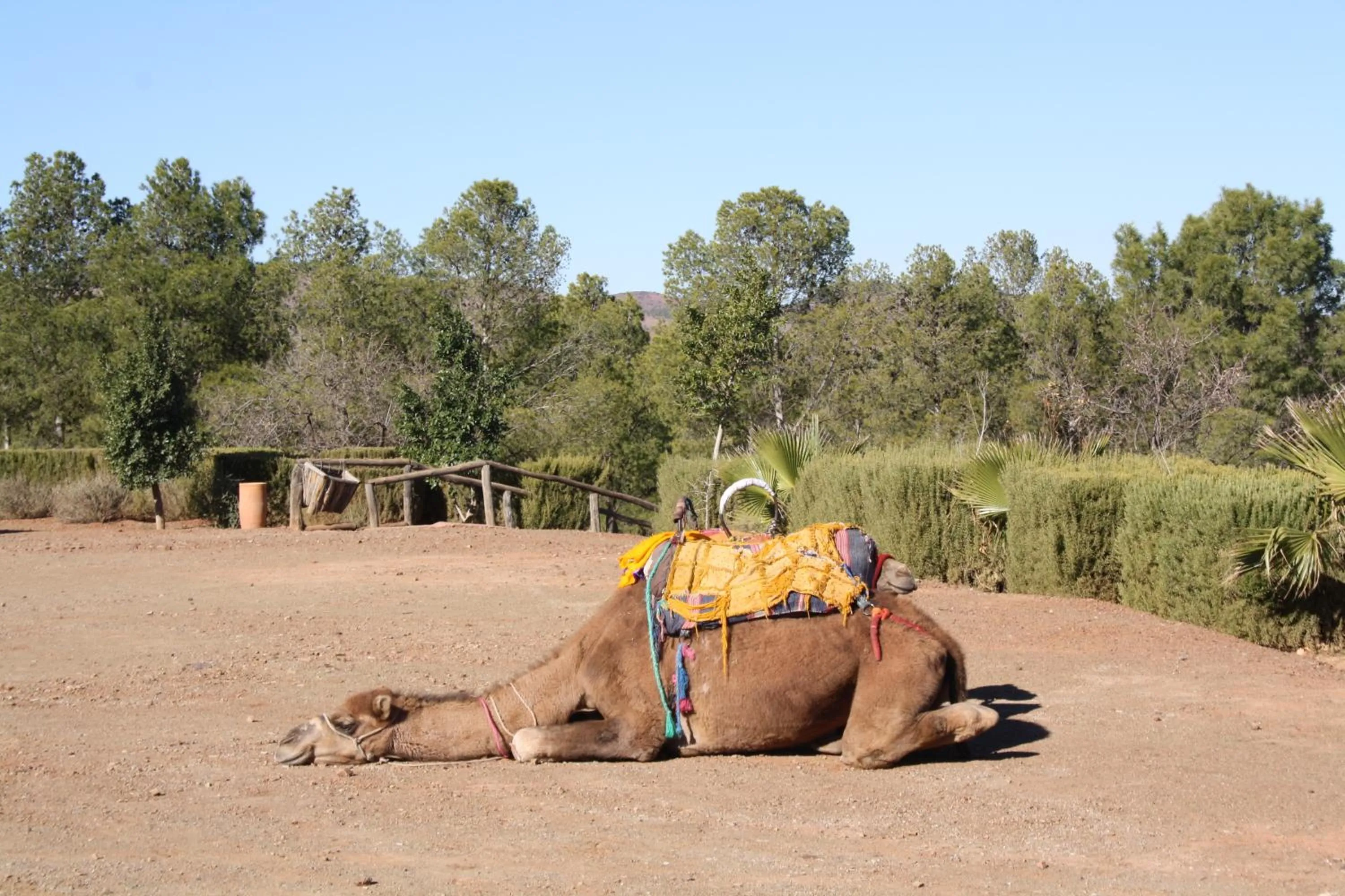 Activities in Terres d'Amanar