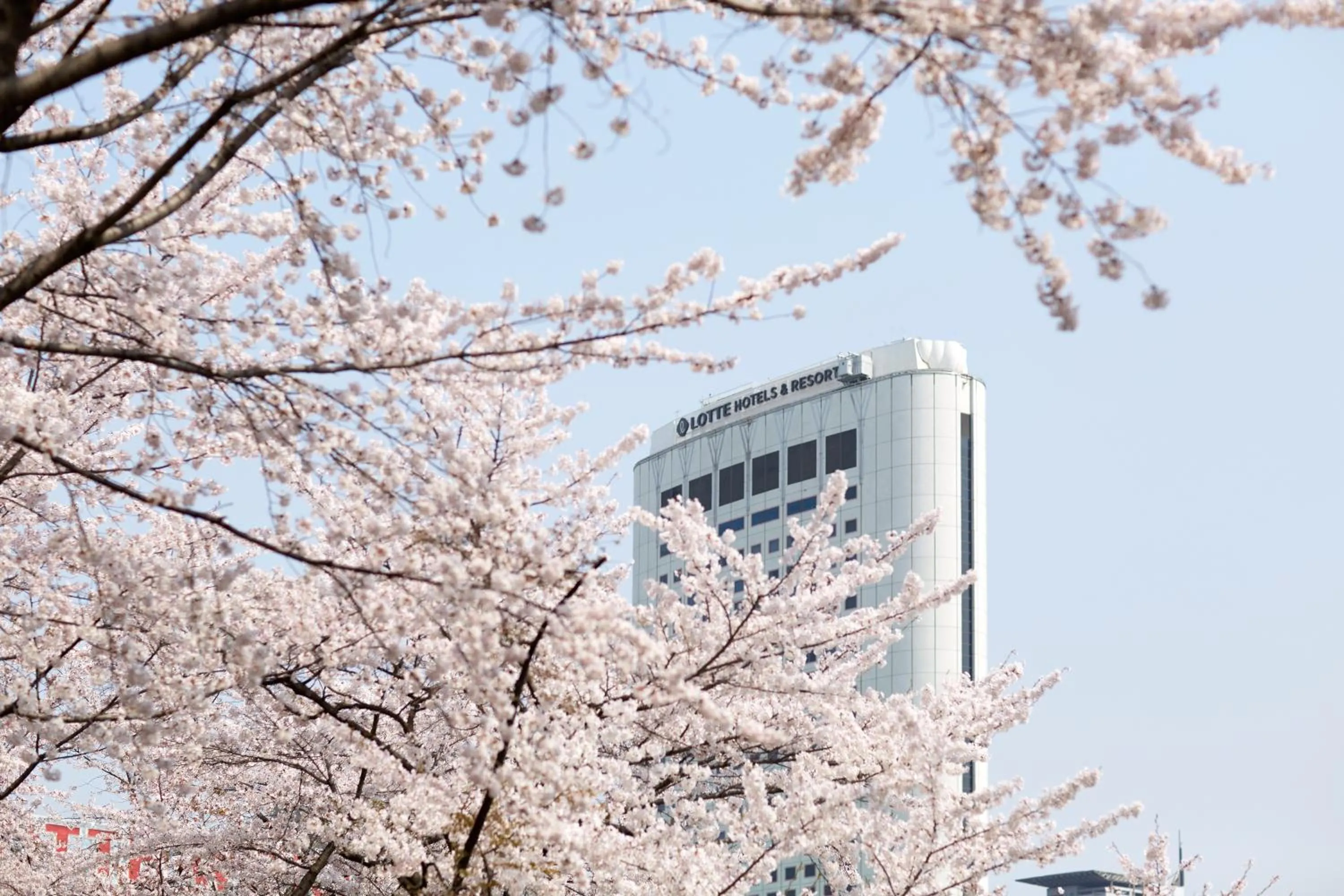Property building in Lotte Hotel World